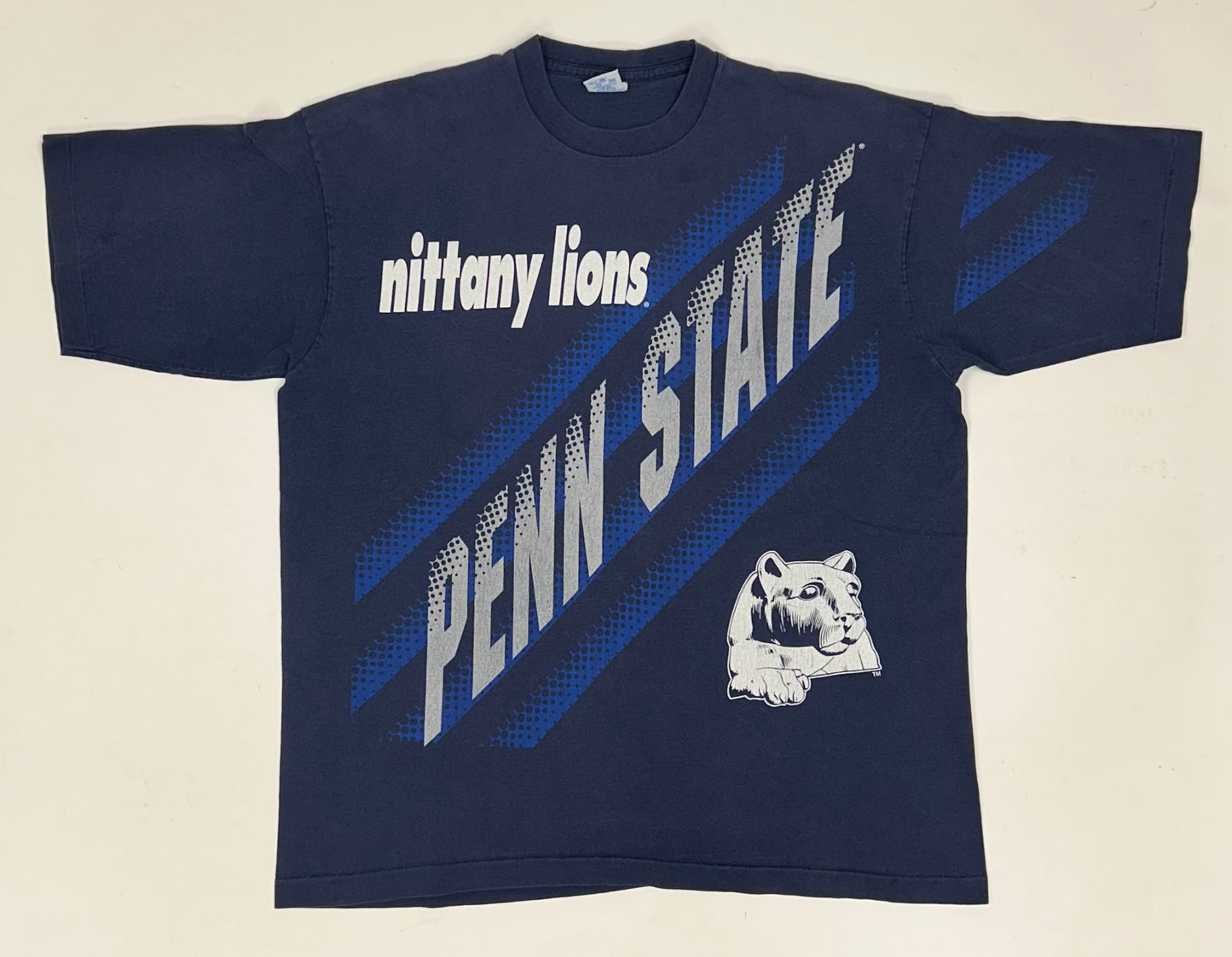 Vintage Salem Sportswear Penn State Nittany Lions NCAA College Tee 24.5x29.75 Inches