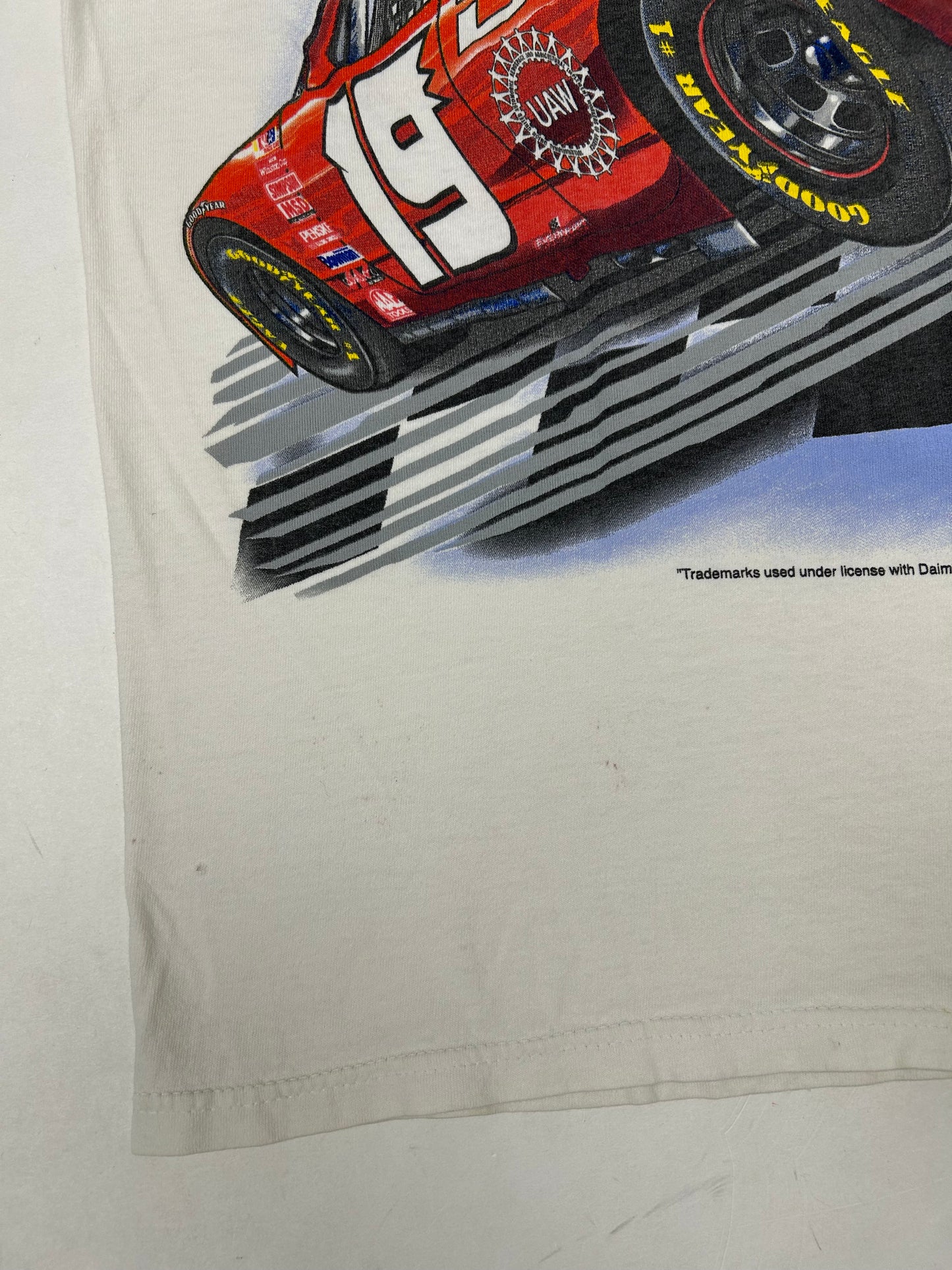 Vintage Chase Authentics NASCAR Dodge R/T Evernham #19 Dare To Be Different XL 25x29.5 Inches As Is