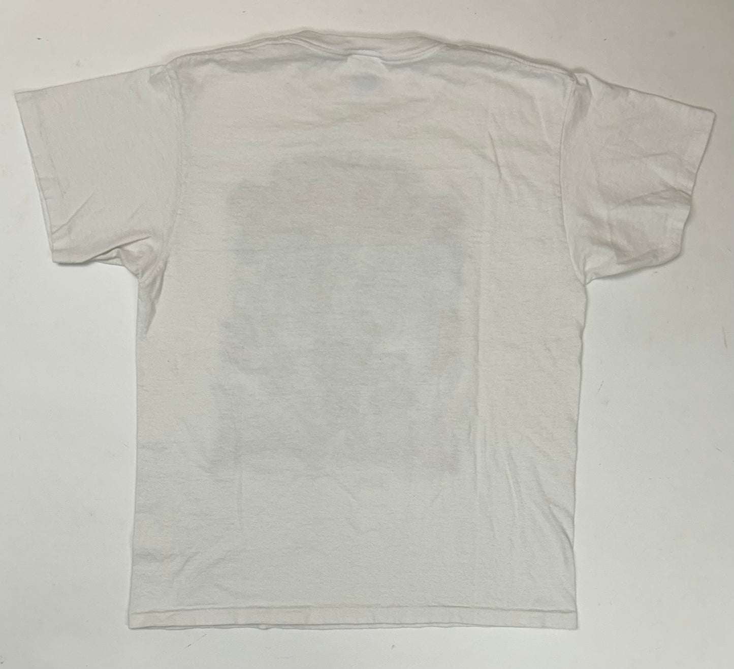 Vintage 1992 Chicago Bulls 2 Time NBA World Champs Caritcure Team Salem Sportswear Graphic Tee Large/Medium Fit 20.75x Inches