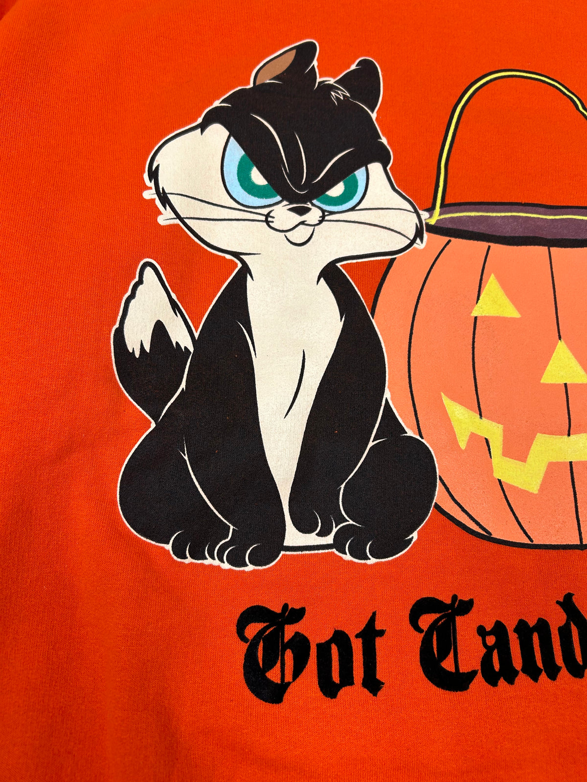Vintage 2004 Looney Tunes Halloween Got Candy? Cat & Pumpkin Graphic Crewneck Sweatshirt L/XL Fit 24.75x30 Inches