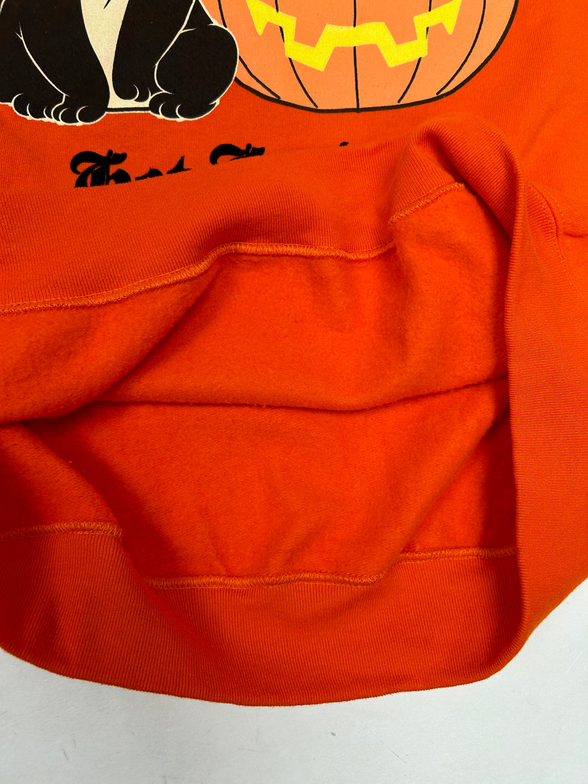 Vintage 2004 Looney Tunes Halloween Got Candy? Cat & Pumpkin Graphic Crewneck Sweatshirt L/XL Fit 24.75x30 Inches