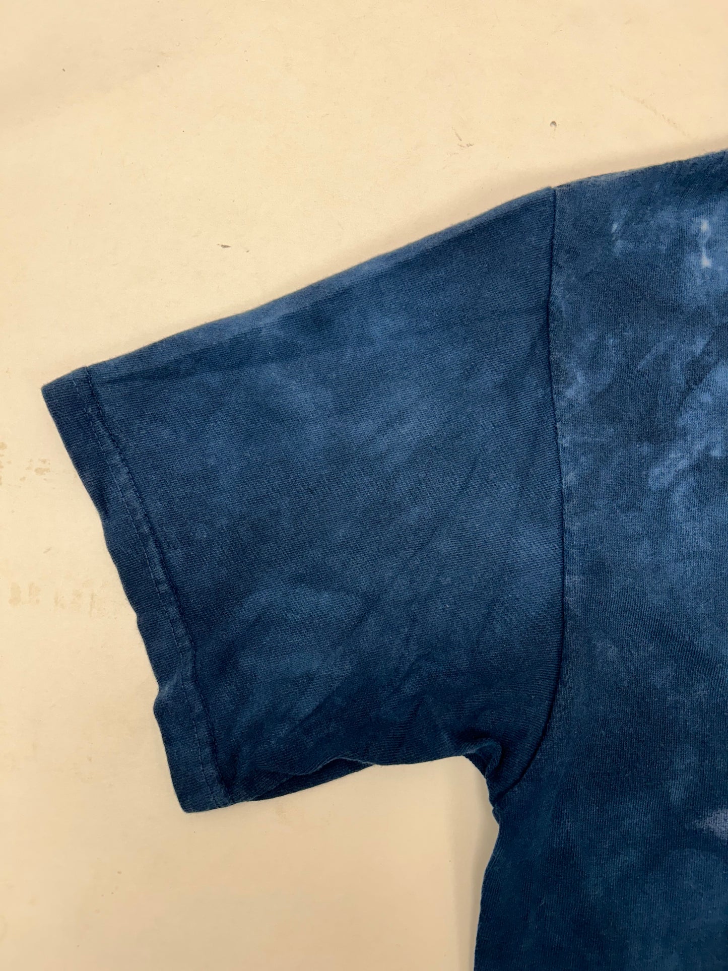 Vintage 2000s Dinosaur Tie-dye Tee XL 25x31 Inches