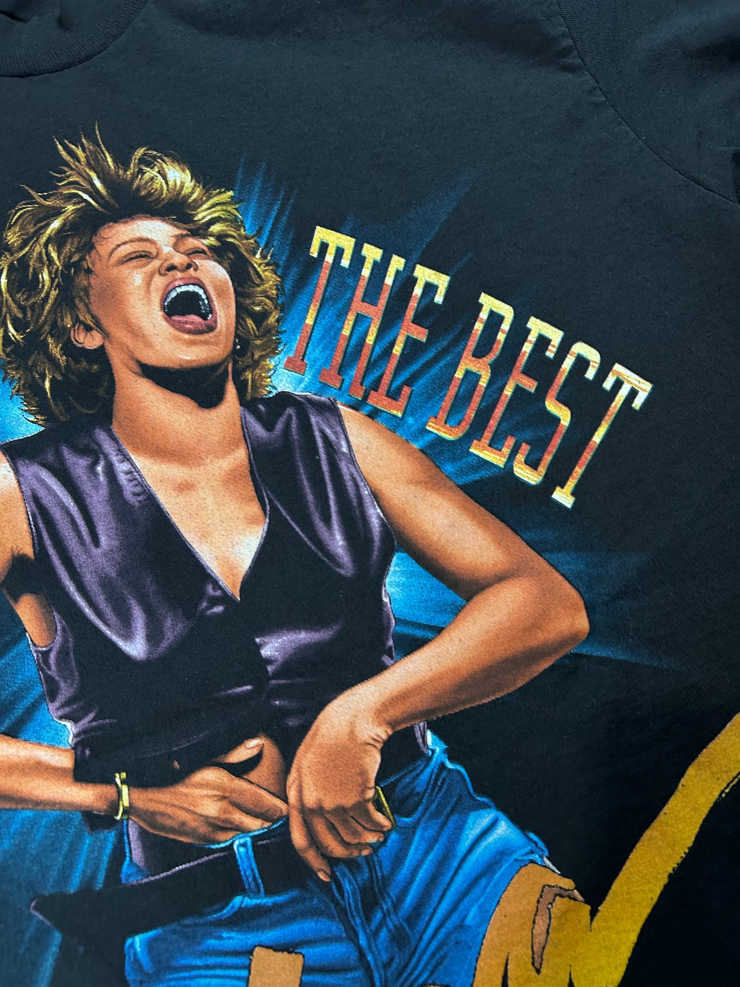 Vintage Tina Turner Simply The Best Sony Signatures Music Tee Large 21.25x31.5 Inches