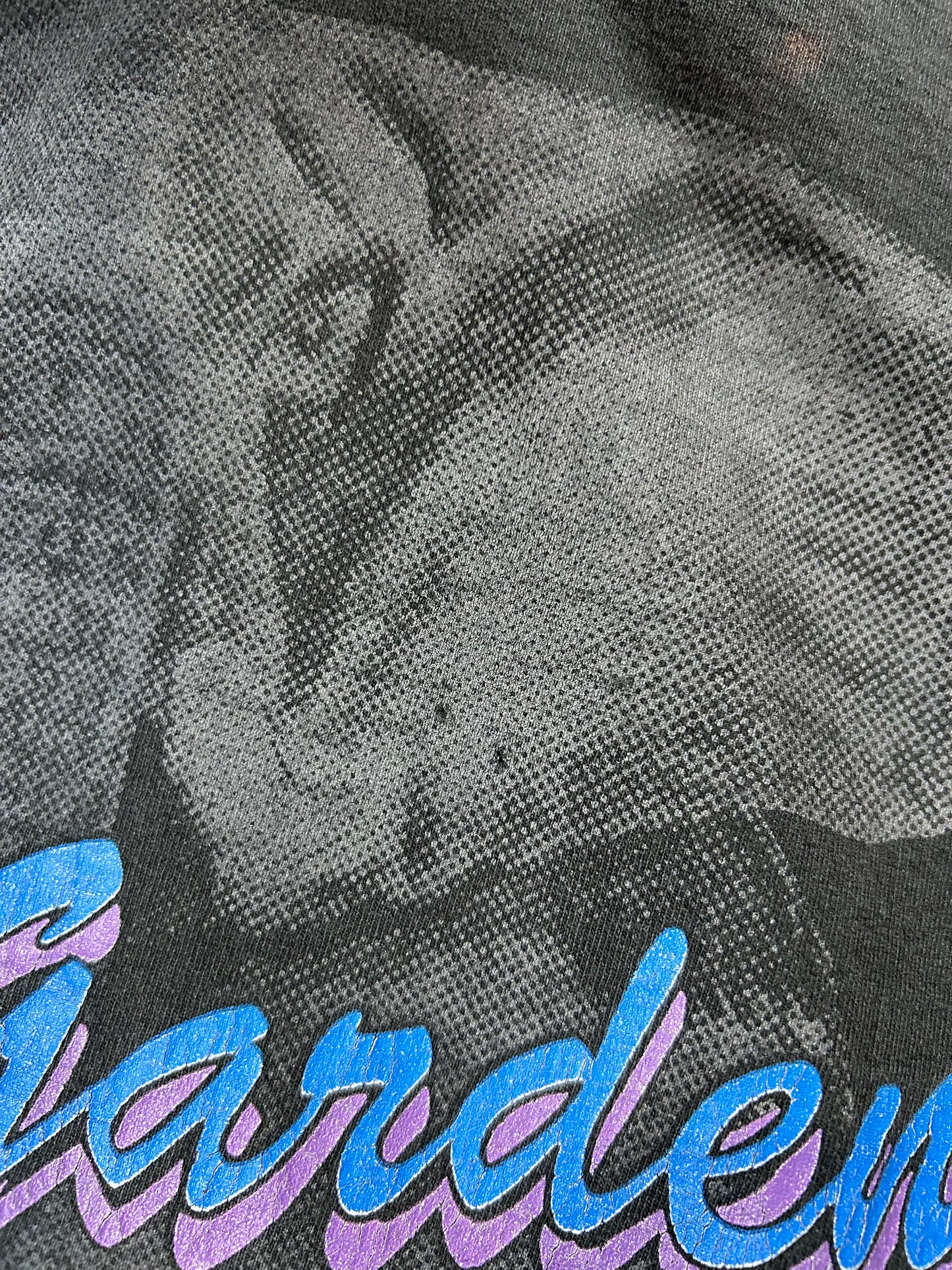 Vintage Busch Gardens Elephant Animal Graphic T-Shirt Fits Medium 19.75x28 Inches As Is Has Wear & Pin Holes Great Fade