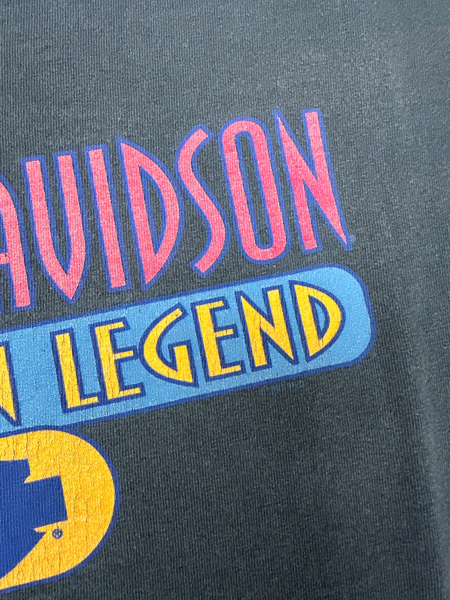 Vintage 90s Harley Davidson Motorcycles Chick’s Albuquerque, N.M. American Legend Tee Large 22.25x28.75 Inches
