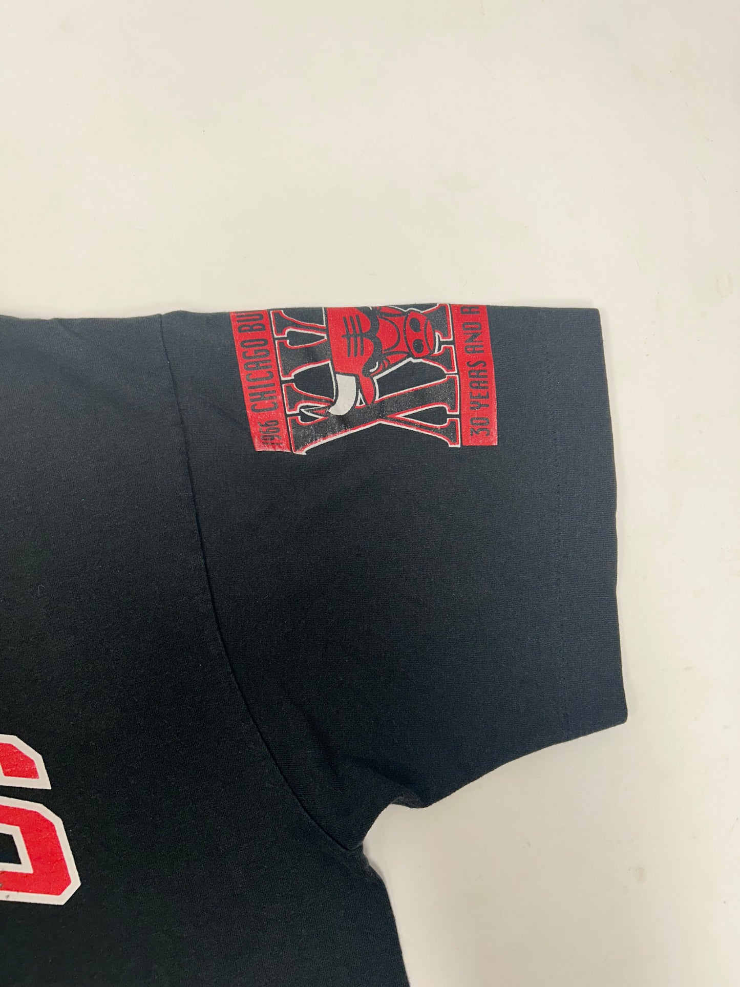 Vintage Chicago Bulls 1995-1996 30 Years And Running Dennis Rodman On The Rebound Tee Large 21.5x28.25 Inches
