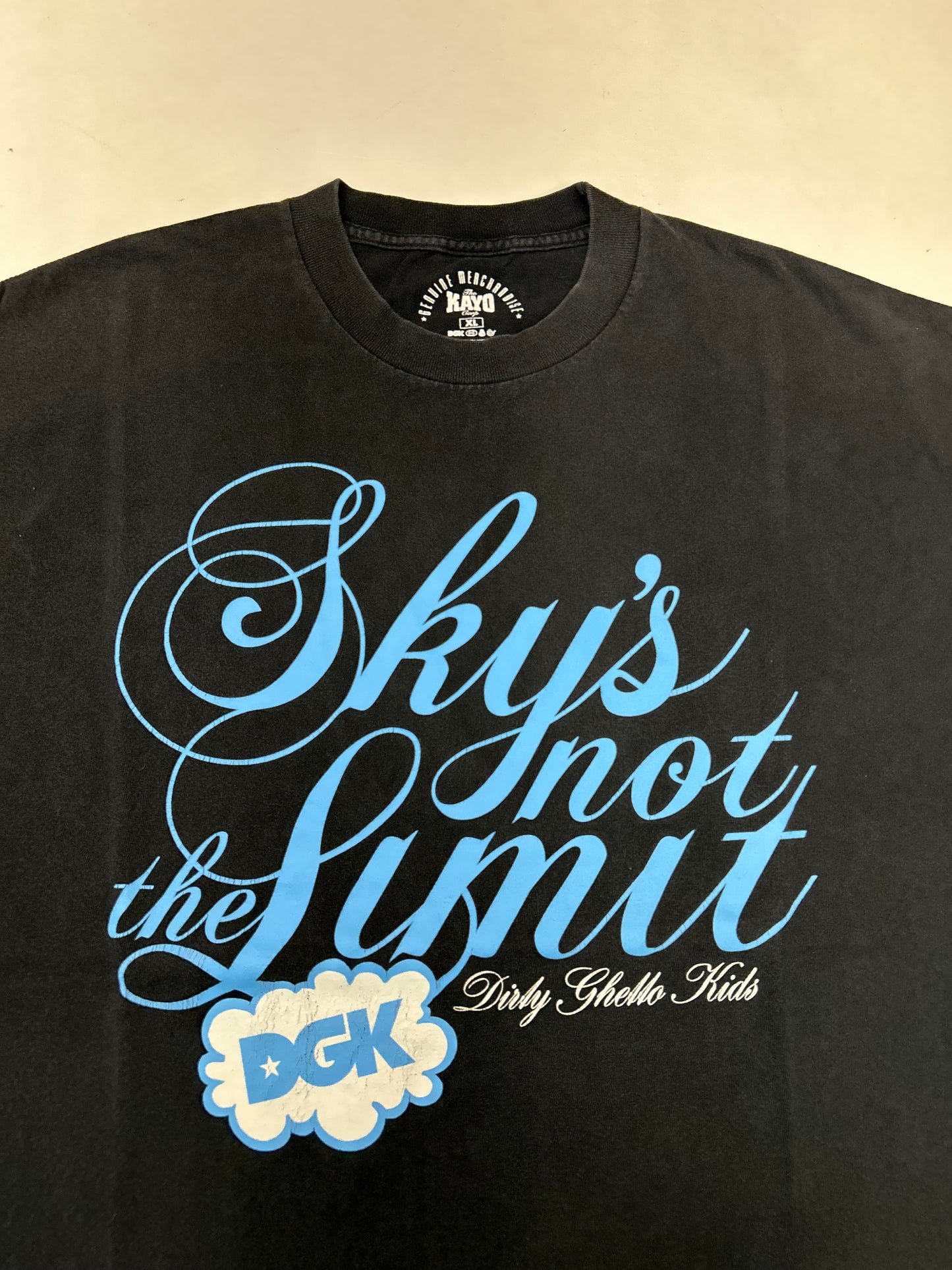 Vintage 2000s DGK Dirty Ghetto Kids Sky’s Not The Limit Skate Tee Skateboarding XL 23.5x30 Inches