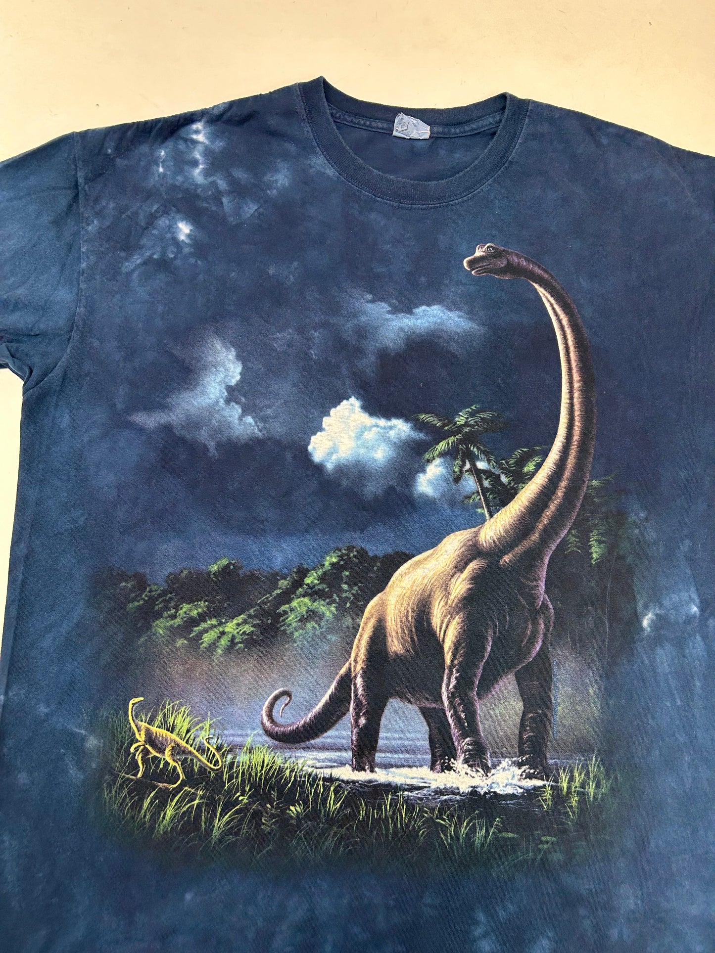 Vintage 2000s Dinosaur Tie-dye Tee XL 25x31 Inches