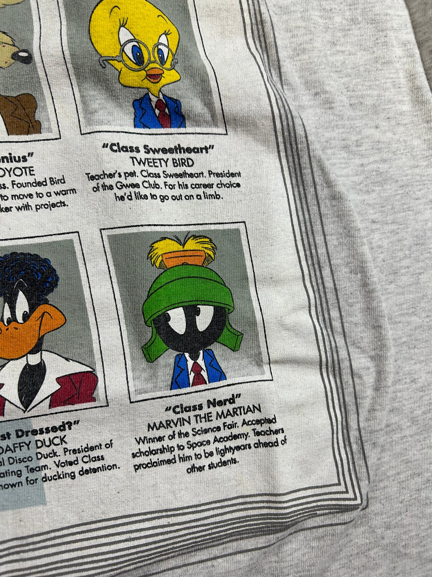 Vintage 1998 Warner Bros. High School Pictures Looney Tunes Tee Large 21.25x29.25 Inches