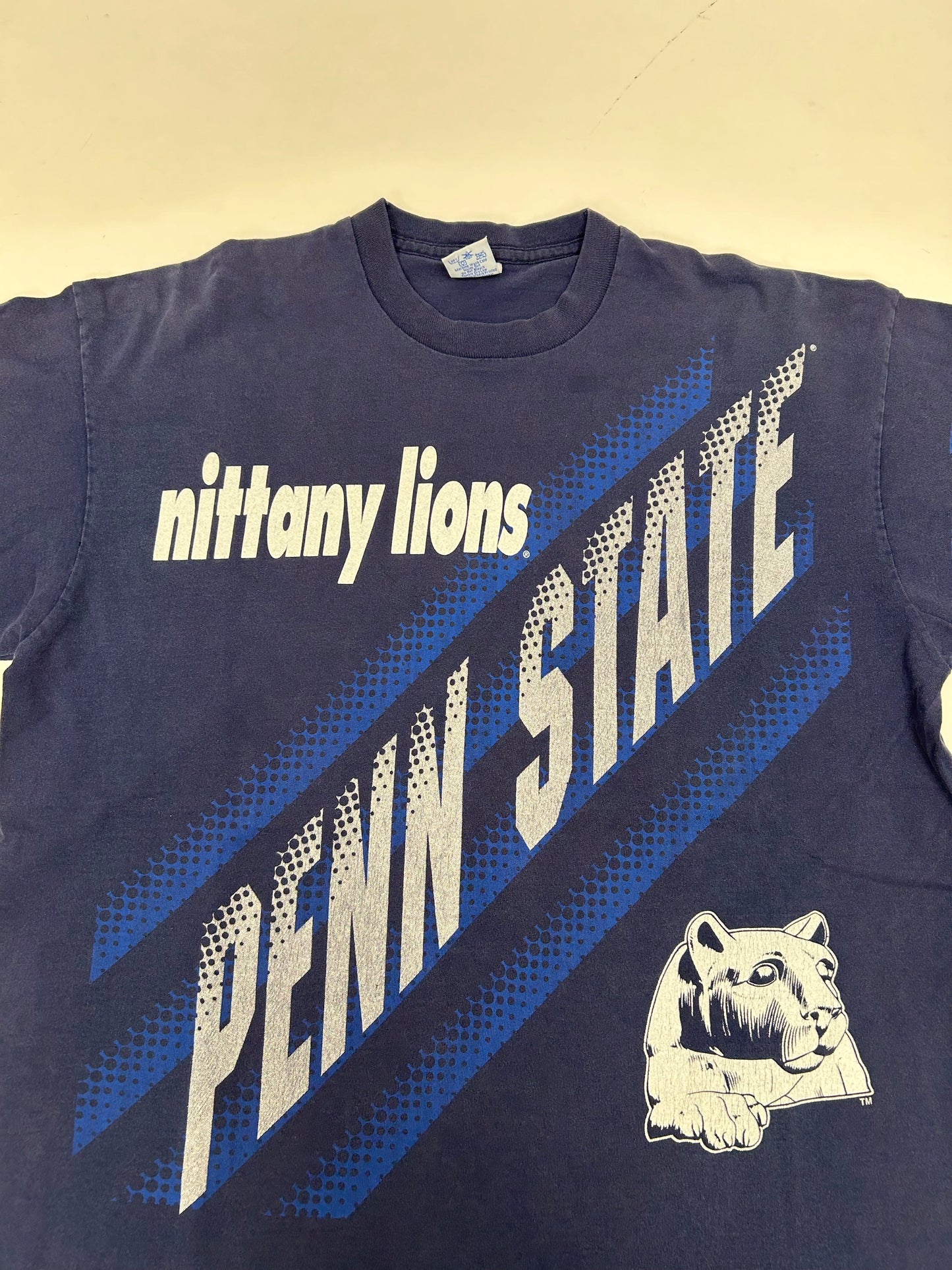 Vintage Salem Sportswear Penn State Nittany Lions NCAA College Tee 24.5x29.75 Inches