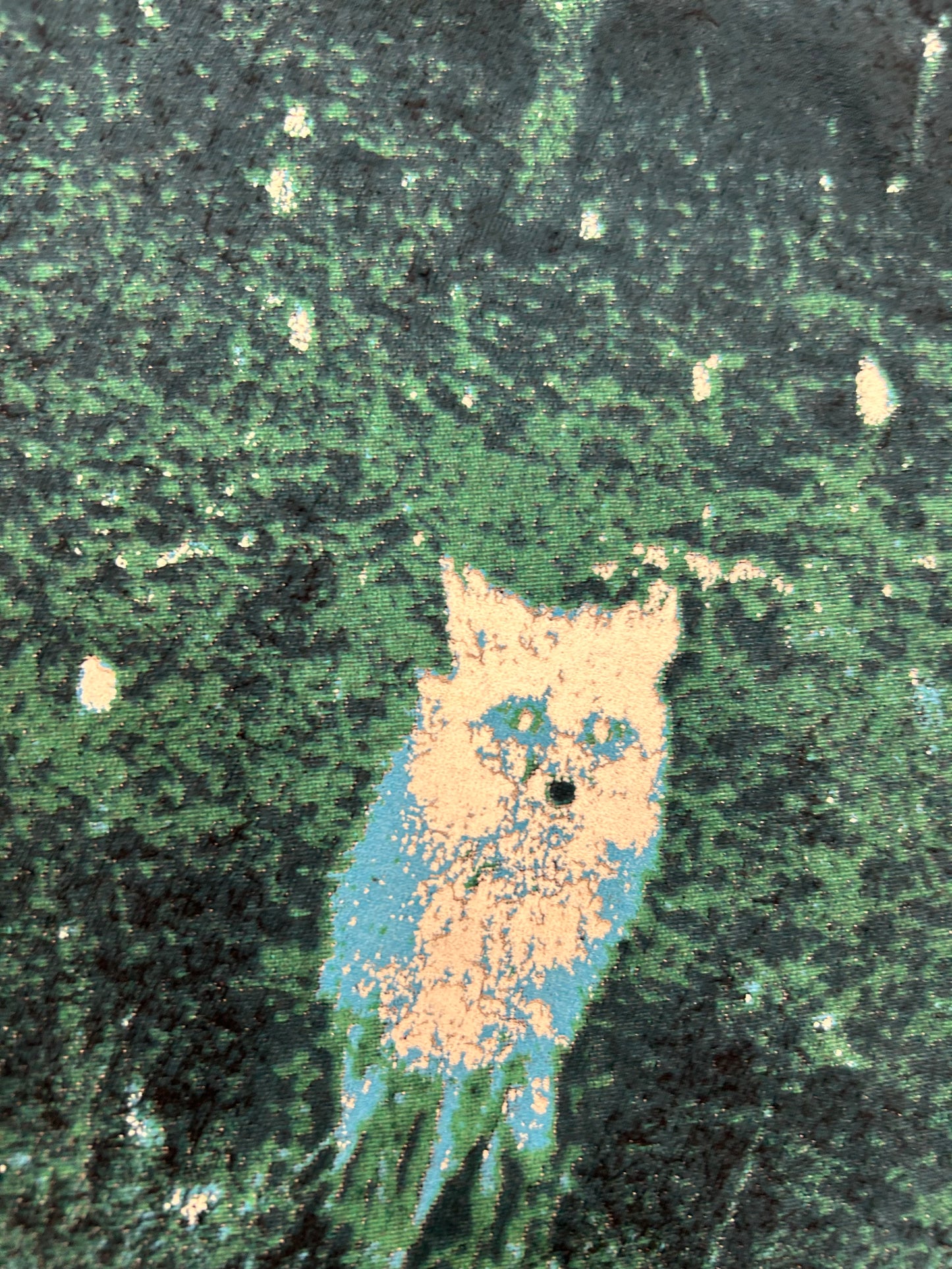 Brand New Daisy Band Fall 2009 Tour Tee Alt Rock Emo Vintage Small 18.25x24.25 Inches