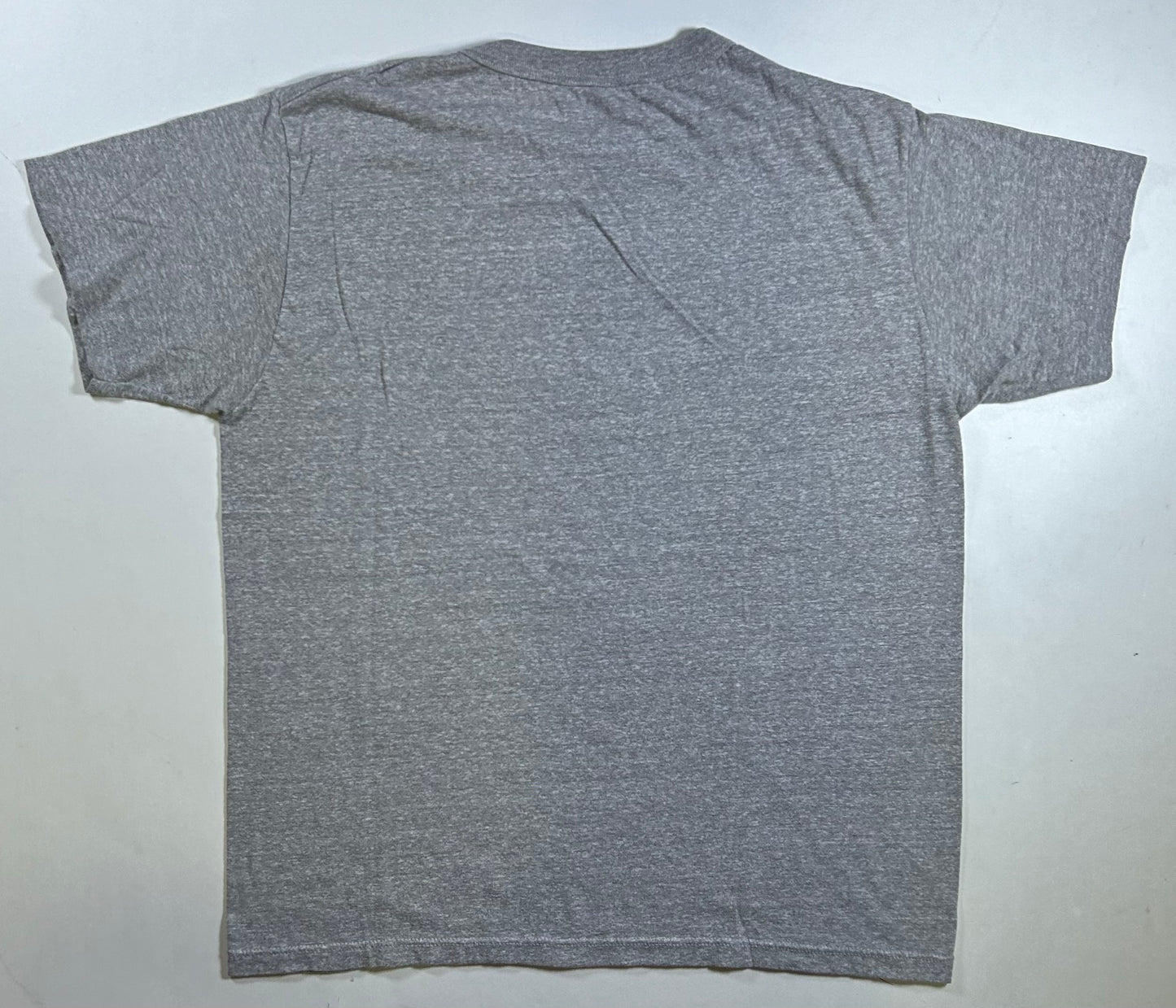 Vintage Champion Saddle River Phys. Ed. Gym Graphic Tee Gray 80s USA 50/50 21.75x26.25 Inches