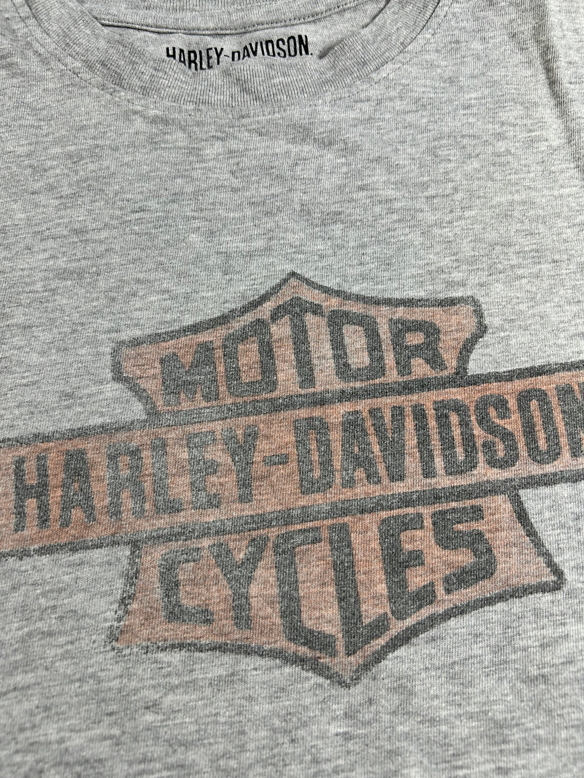 2020s Harley Davidson Motorcycle Company Milwaukee Wisconsin Tee Large 23x28 Inches Gray