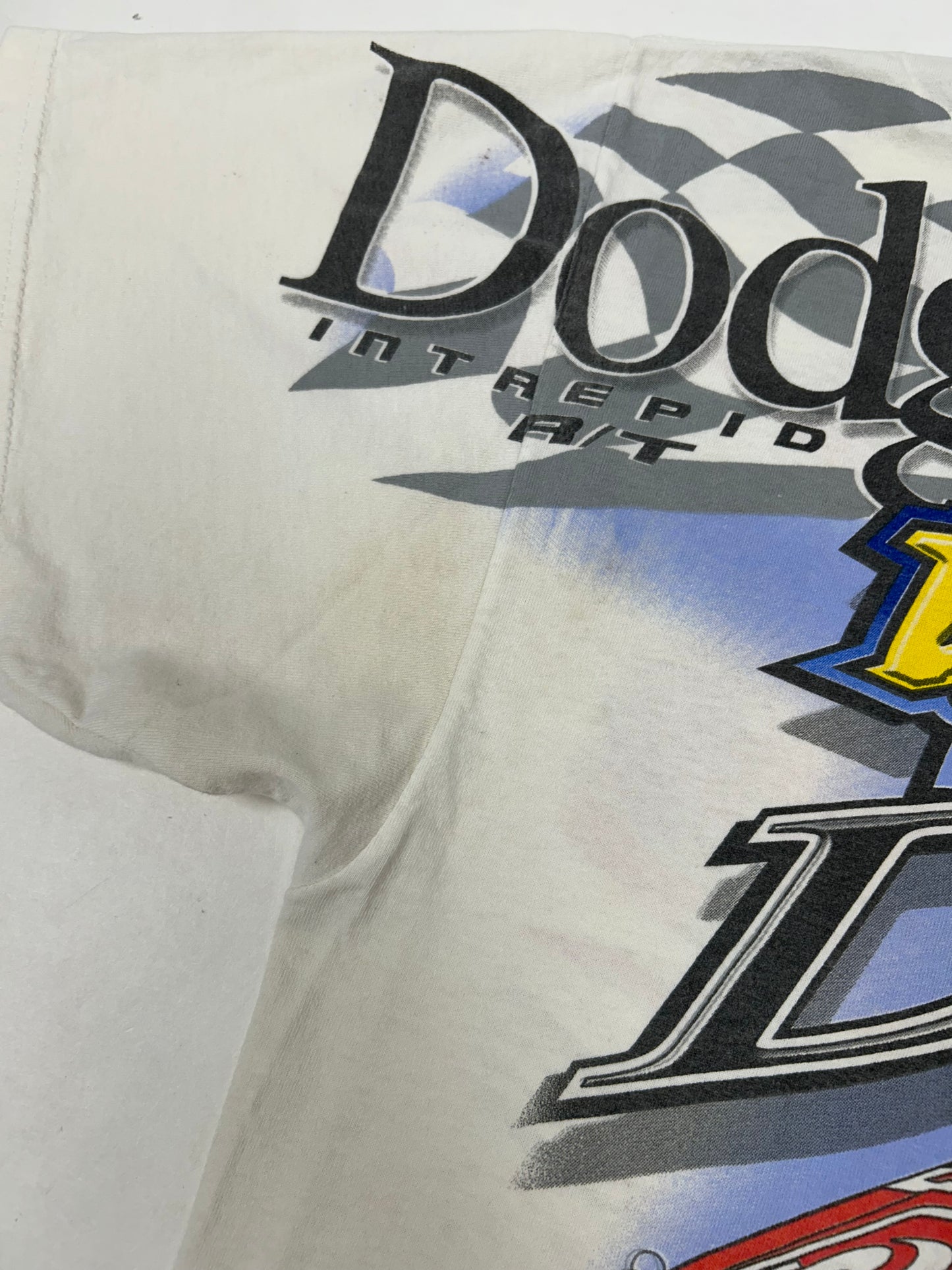 Vintage Chase Authentics NASCAR Dodge R/T Evernham #19 Dare To Be Different XL 25x29.5 Inches As Is