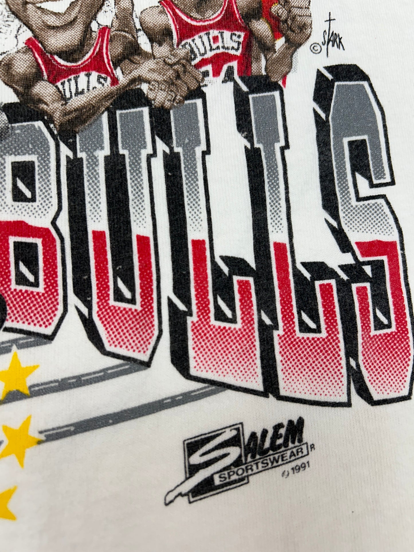 Vintage 1991 Chicago Bulls NBA World Champs Caritcure Team First Championship Salem Sportswear Graphic Tee L/XL 22.25x30.75 Inches