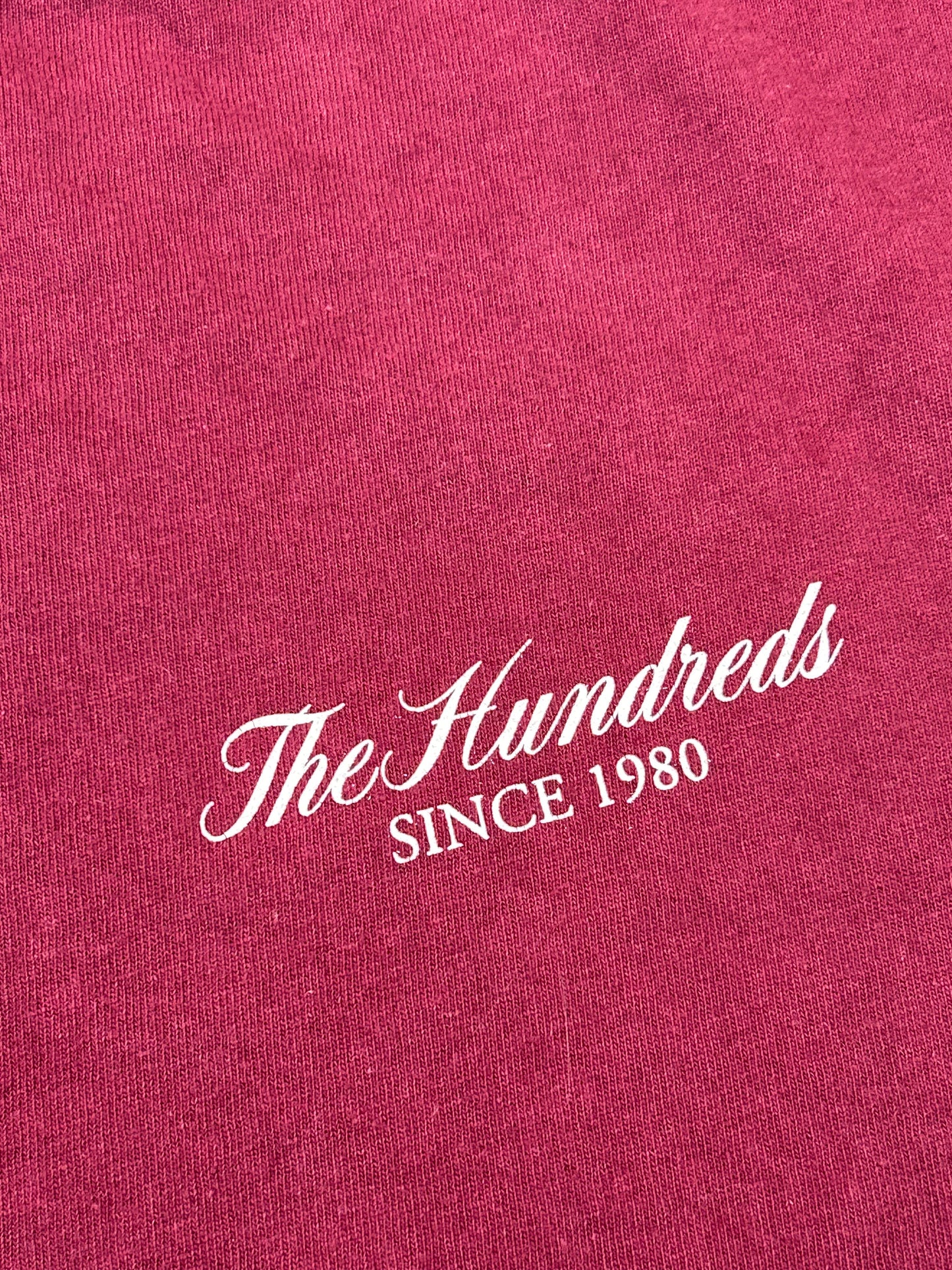 The Hundreds X Looney Tunes ACME Wile W Coyote & Roadrunner Long Sleeve Tee Medium 19.75x27.75 Inches As Is