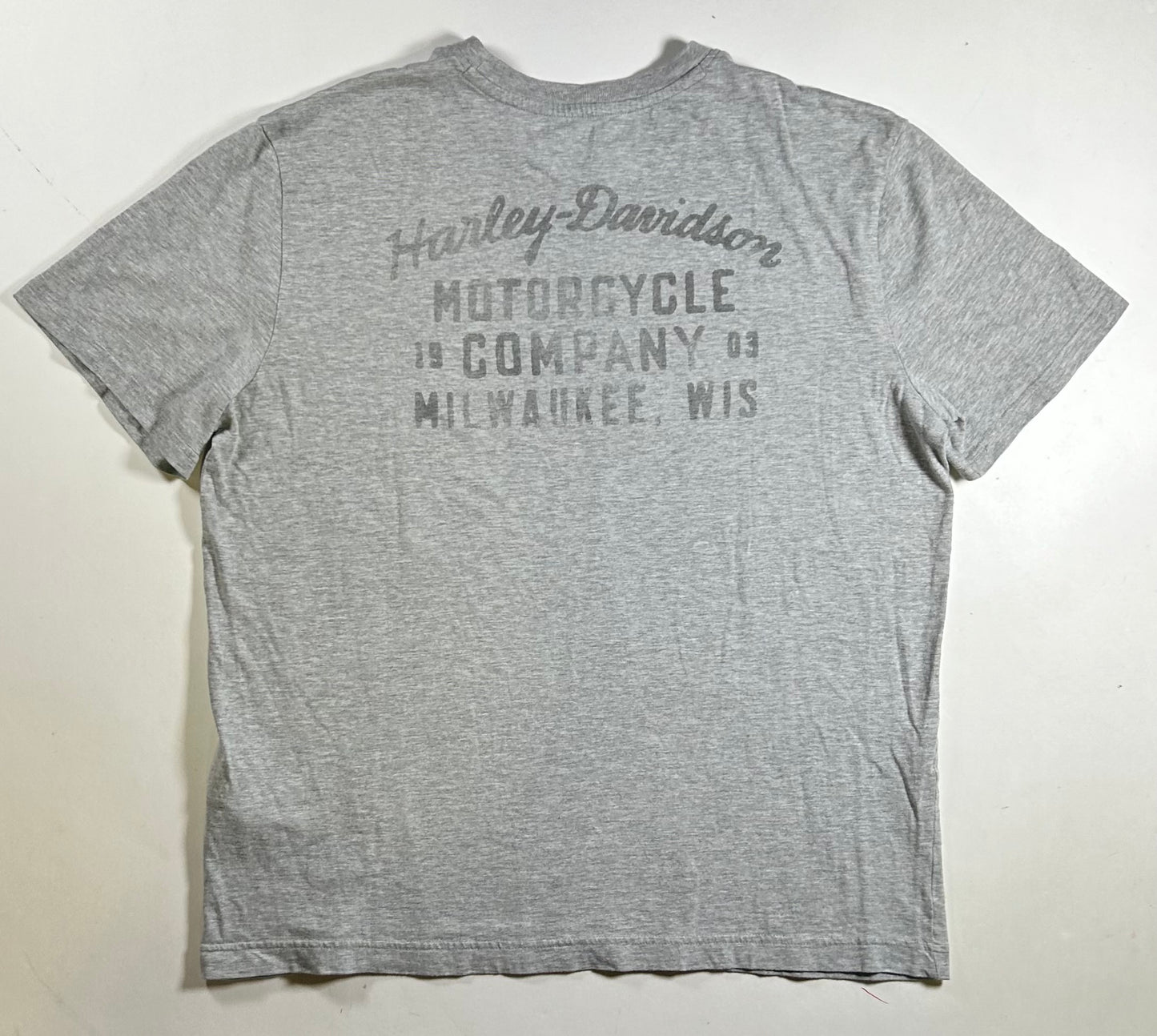 2020s Harley Davidson Motorcycle Company Milwaukee Wisconsin Tee Large 23x28 Inches Gray