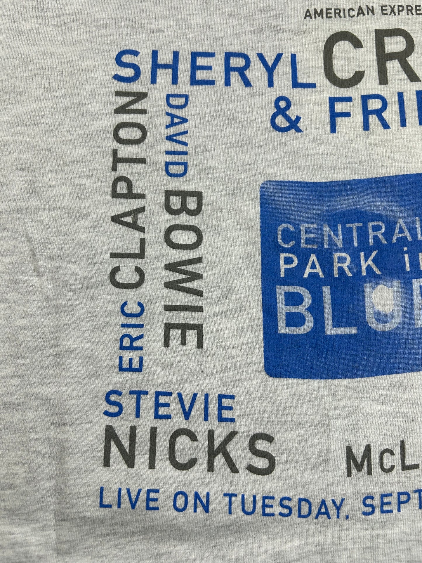 Vintage Sheryl Crow & Friends American Express Central Park 1999 Music Band Tee XL 23.75x30.75 Inches