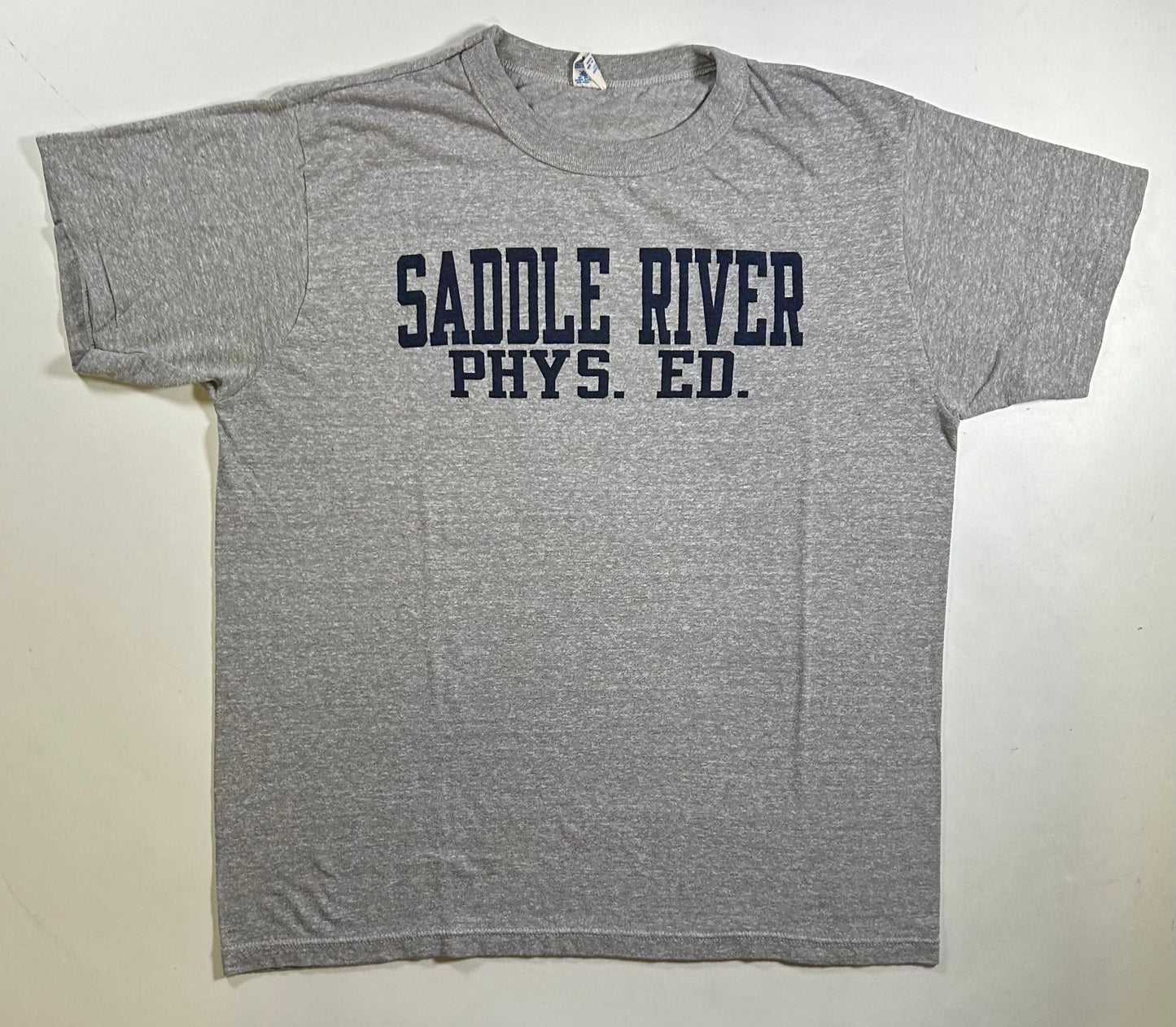 Vintage Champion Saddle River Phys. Ed. Gym Graphic Tee Gray 80s USA 50/50 21.75x26.25 Inches