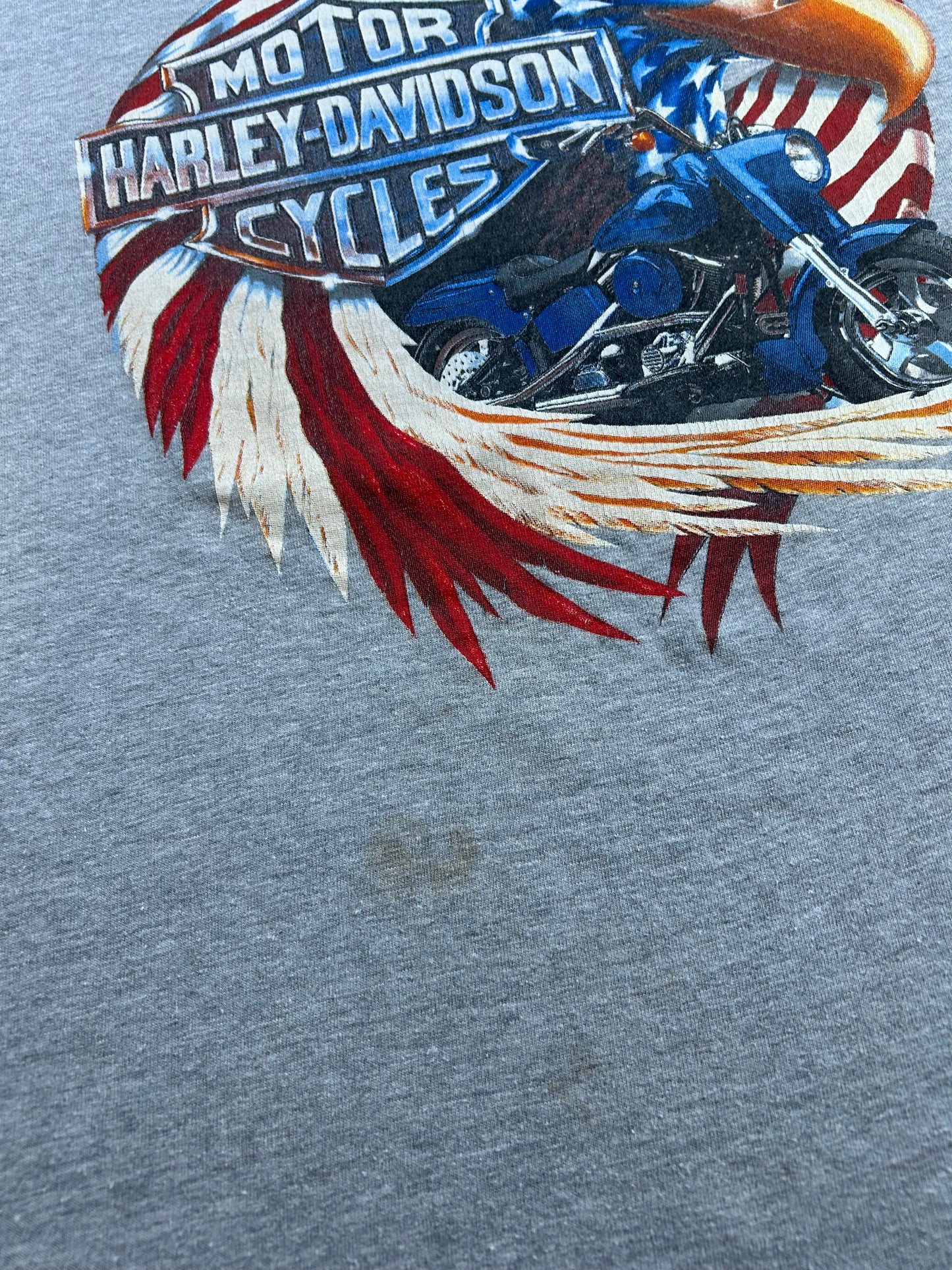 Vintage 2000s Harley Davidson Motorcycles Kosco Kinnelon, NJ American Eagle Tee Large 21.5x29 Inches V-Neck Cut As Is Has Mark