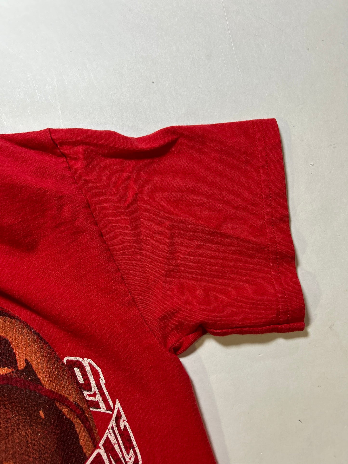 Vintage Lee Sport 1996 Chicago Bulls NBA Champions Tee Youth Medium 17.25x23 Inches Red