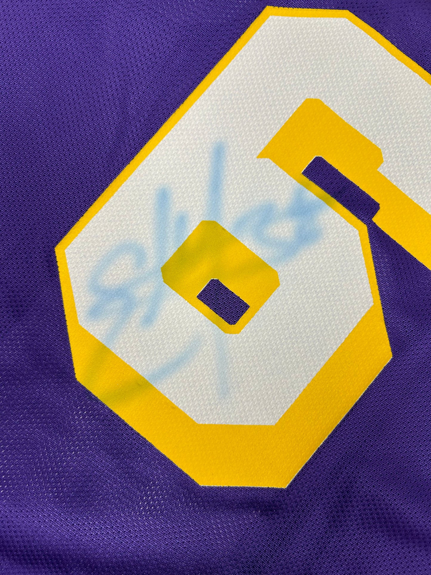 Vintage 90s Champion Los Angeles Lakers NBA Eddie Jones #6 Jersey Purple Size 44 Large 22.76x32.25 Inches
