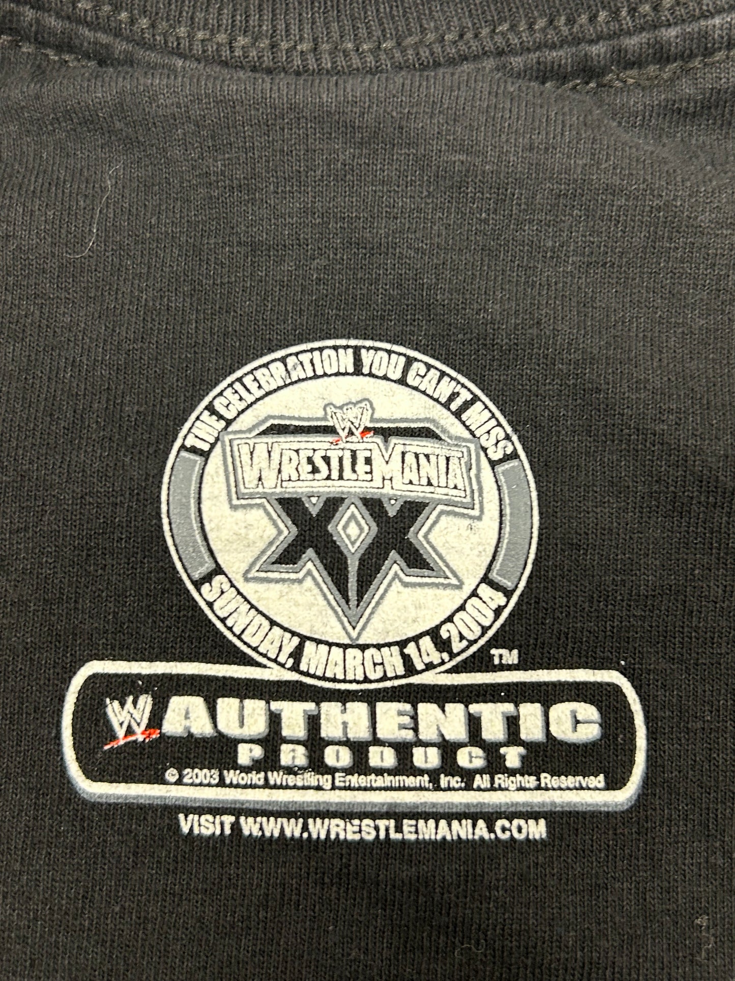 Vintage 2003 WWE CHRIS JERICHO Highlight Of The Night Wresting Tee Medium 19.5x28 Inches