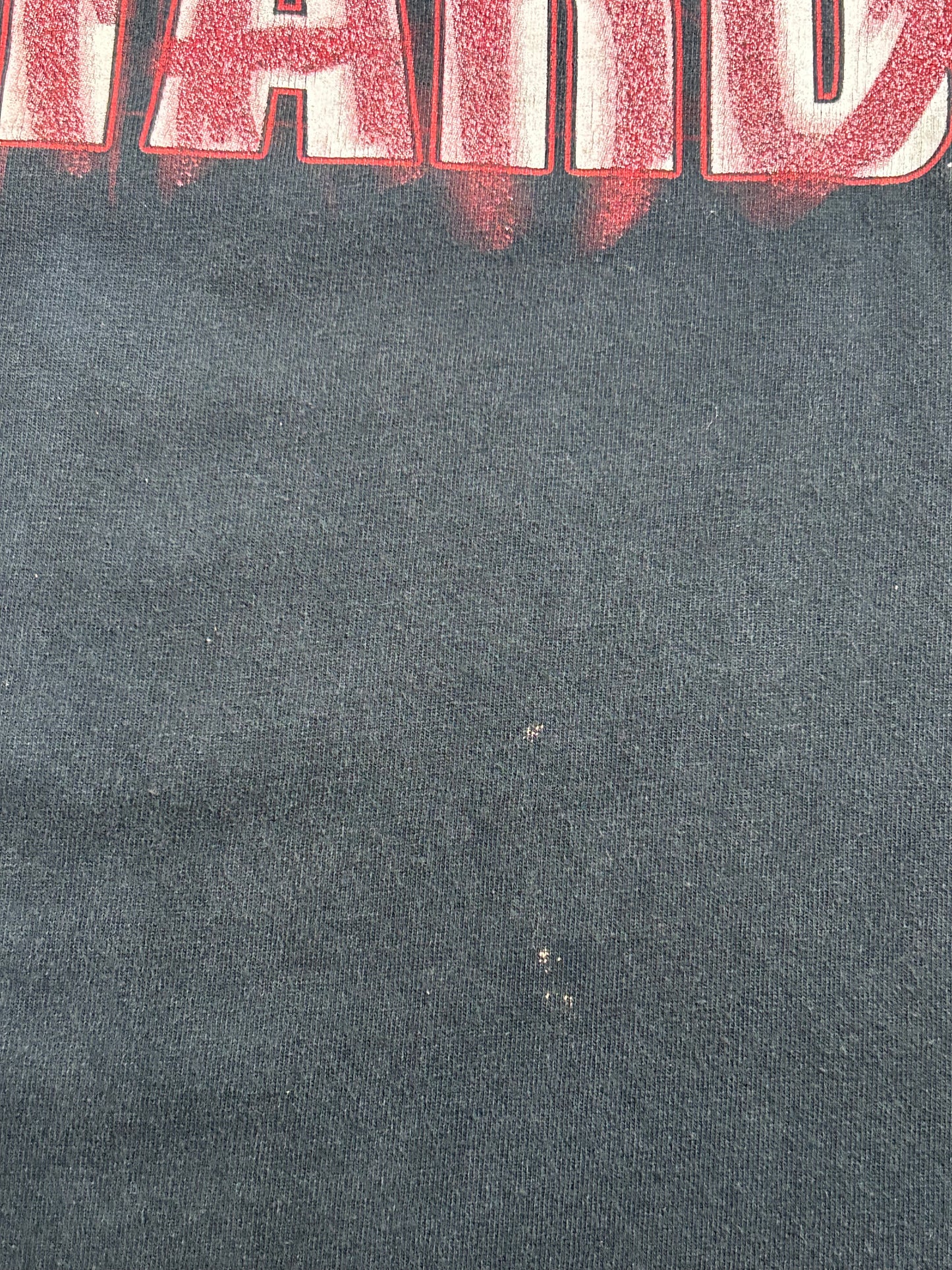 Vintage 2000 The Big Show Big Nasty Bastard WWF WWE Wrestling T Shirt Size 2XL 24.75x30.5 Inches 2000s