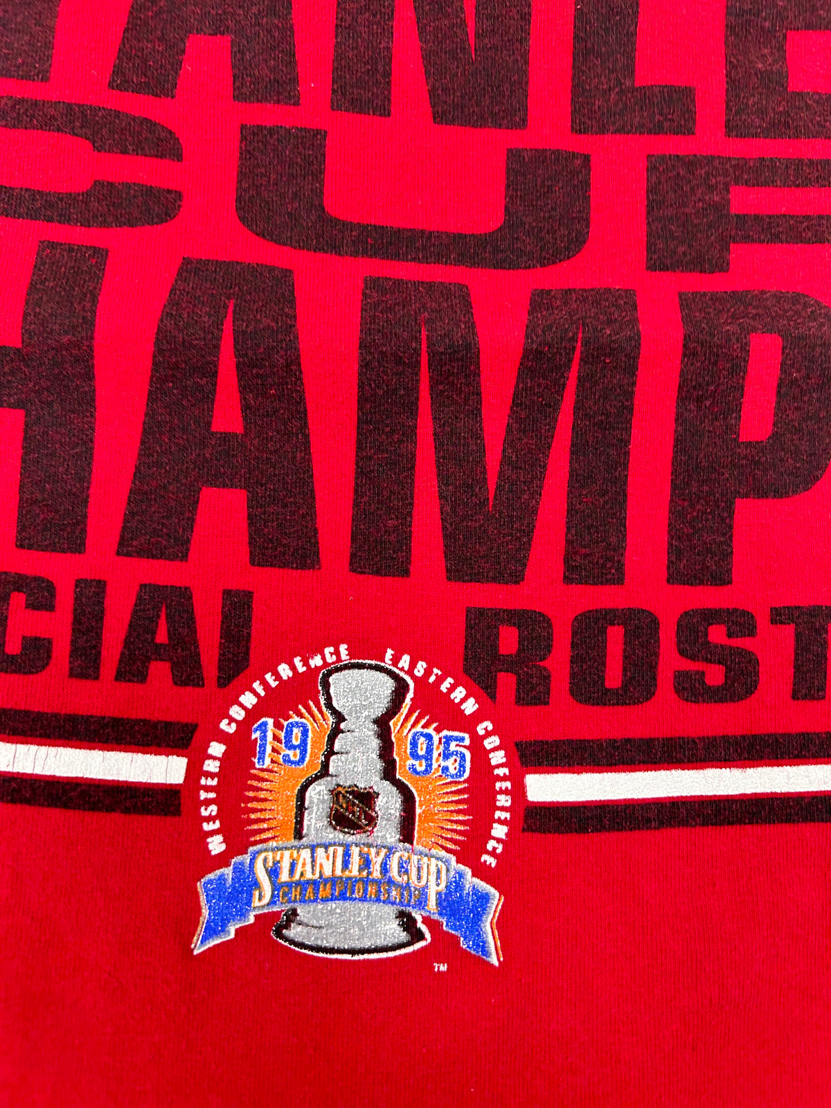 Vintage Nutmeg 1995 New Jersey Devils NHL Stanley Cup Champions Roster Tee L/M Fit 22.25x26.5 Inches