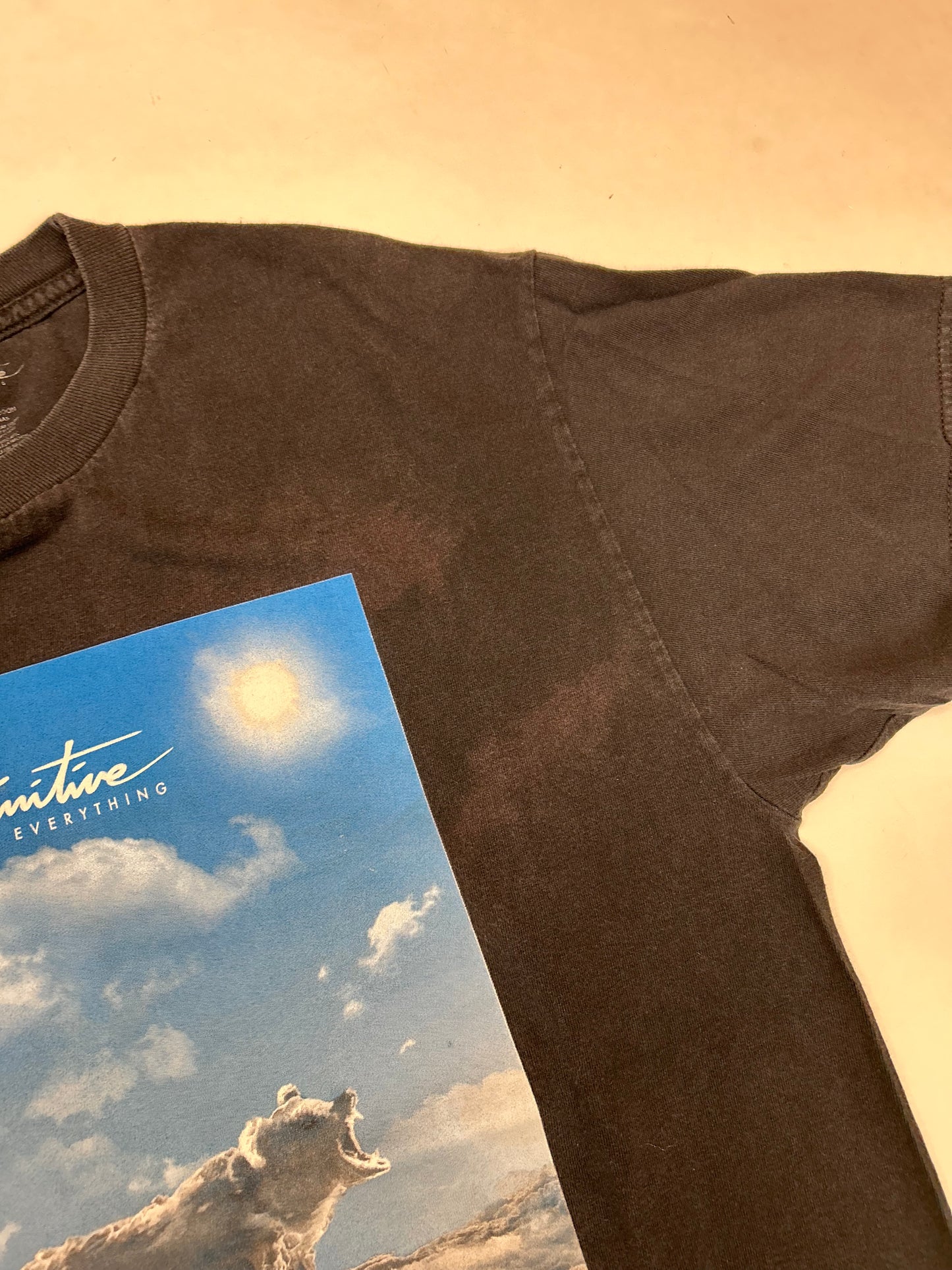 Primitive Skateboards Primitive Above Everything Bear Clouds Graphic Tee Large 21.5x28.75 Inches Black As Is