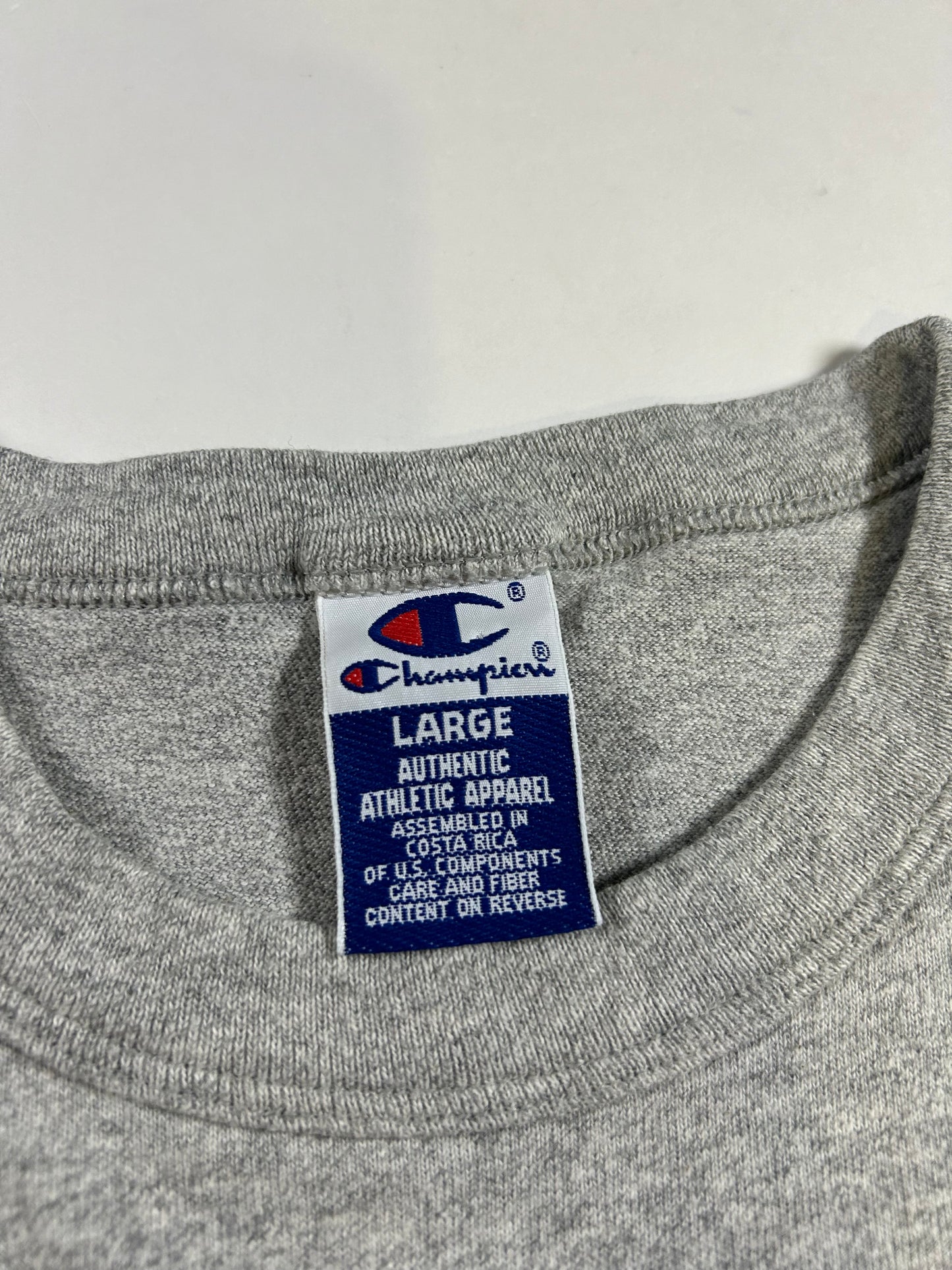 Vintage Champion Villanova Wildcats Baseball Issue Property Of College Tee Large 21.75x27.5 Inches Gray