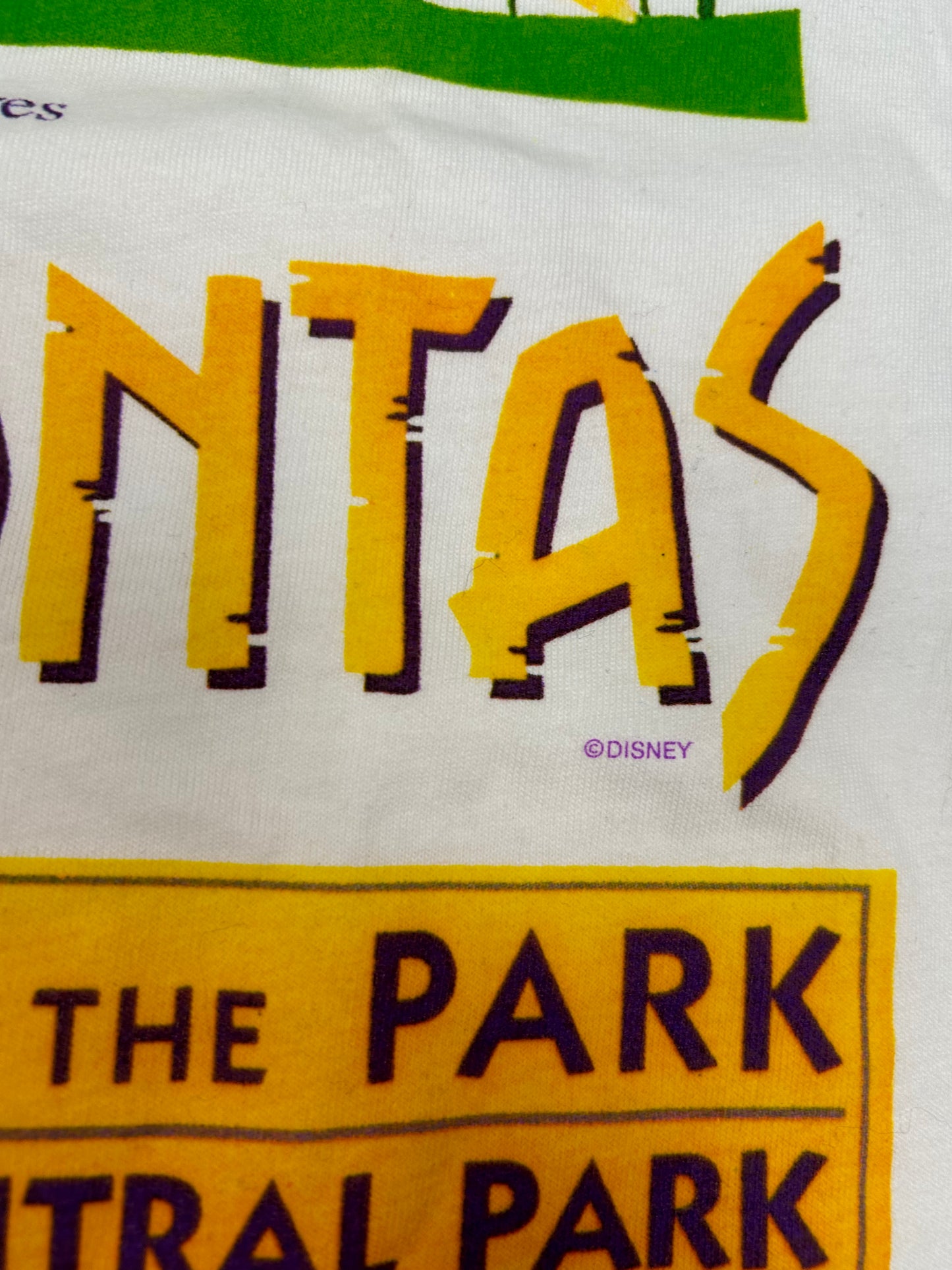 Vintage 90s Pocahontas The Premiere In The Park Central Park Disney Movie Promo Tee XL 24.25x31 Inches Clean