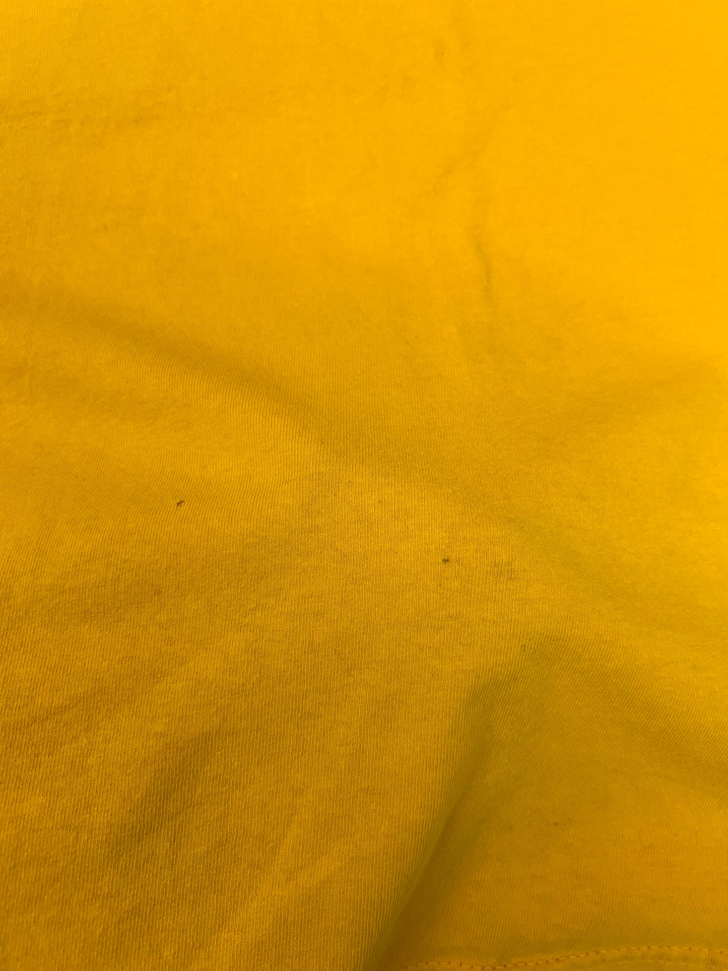 Vintage Paul Frank Skateboarding Sequence Skate Tee Yellow L/XL 24.5x28.25 Inches As Is Worn