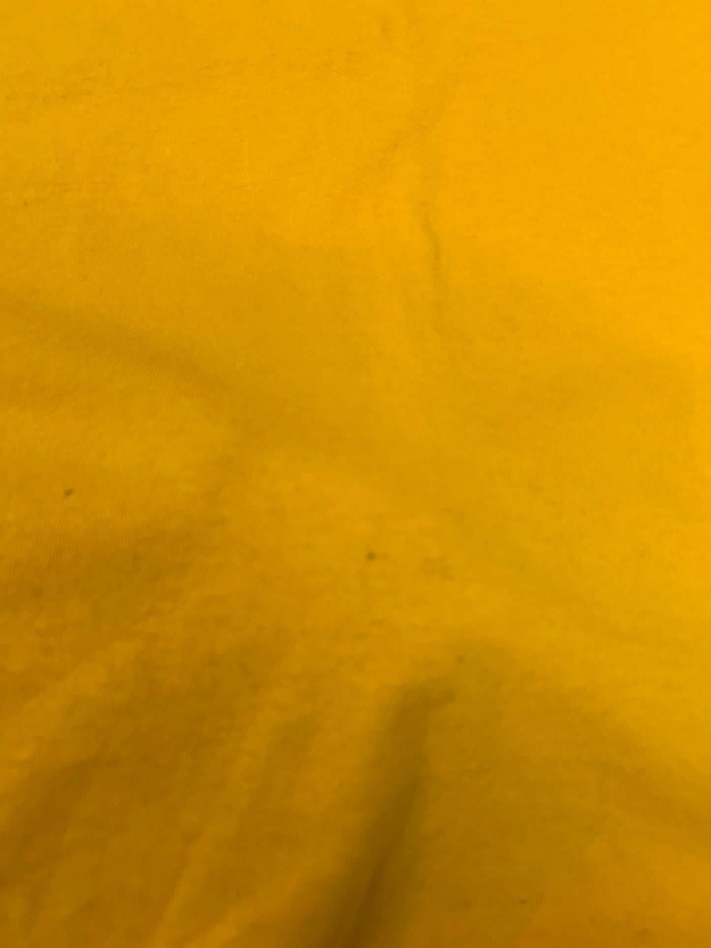 Vintage Paul Frank Skateboarding Sequence Skate Tee Yellow L/XL 24.5x28.25 Inches As Is Worn