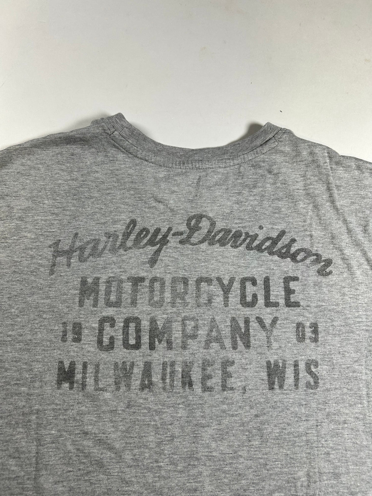 2020s Harley Davidson Motorcycle Company Milwaukee Wisconsin Tee Large 23x28 Inches Gray