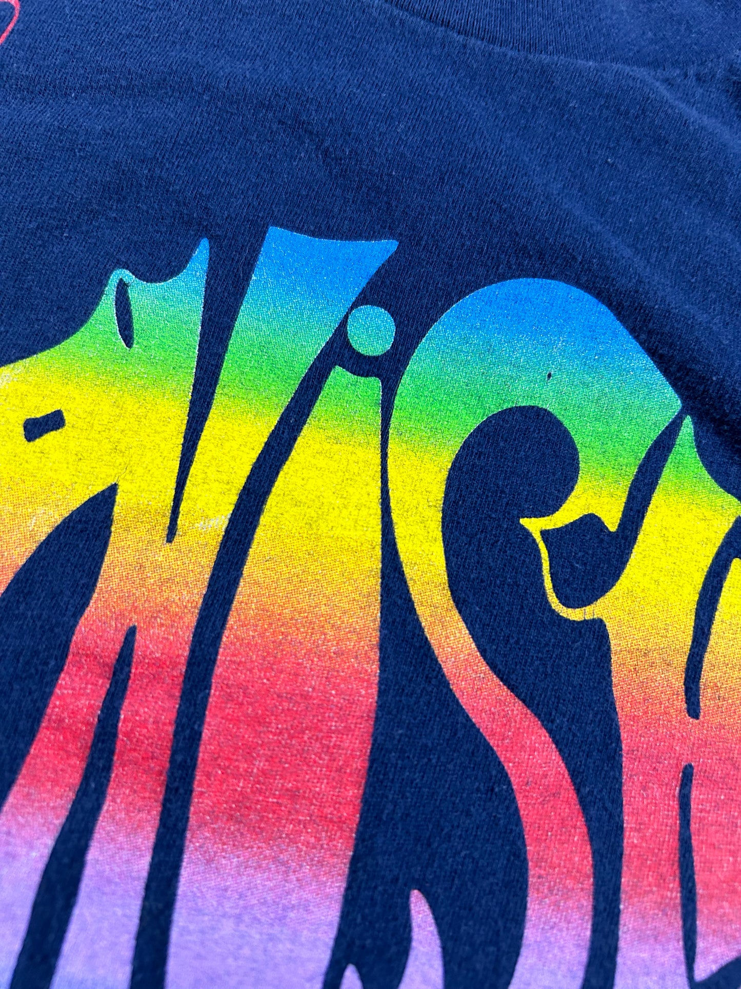 Vintage Phish Band Tee Rainbow Fish Concert Rock T-Shirt 00s Print Fits L/M 21x28.25 Inches
