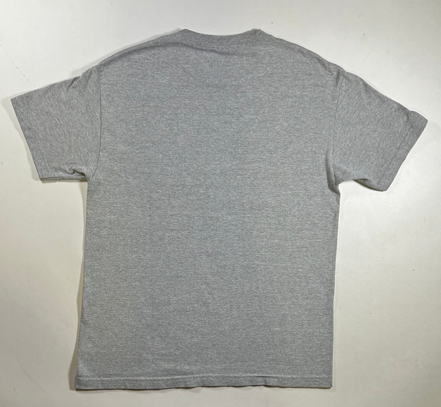 Vintage Speedo American Classic 2002 Authentic Swim T-Shirt Large 21.25x29.75 Inches Gray USA