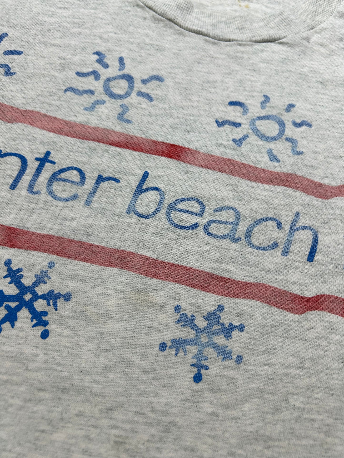 Vintage 1993 The Evian Indoor Pro Beach Volleyball A Winter Beach Fest Madison Square Garden Promo Tee Large 21.5x27.25 Inches As Is Worn In