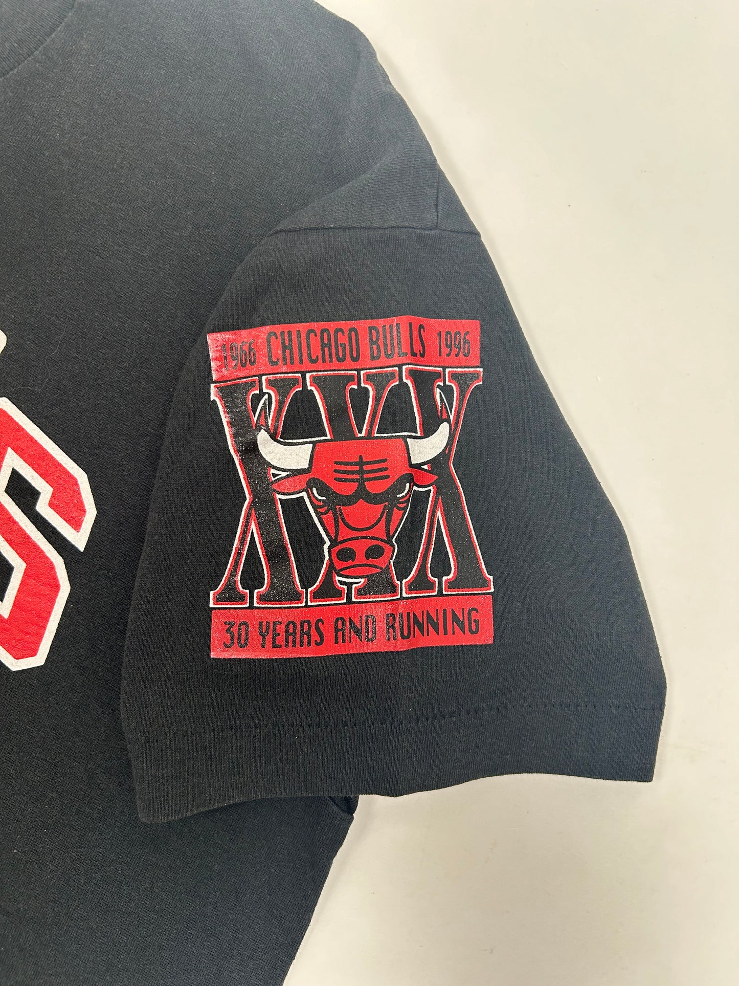 Vintage Chicago Bulls 1995-1996 30 Years And Running Dennis Rodman On The Rebound Tee Large 21.5x28.25 Inches