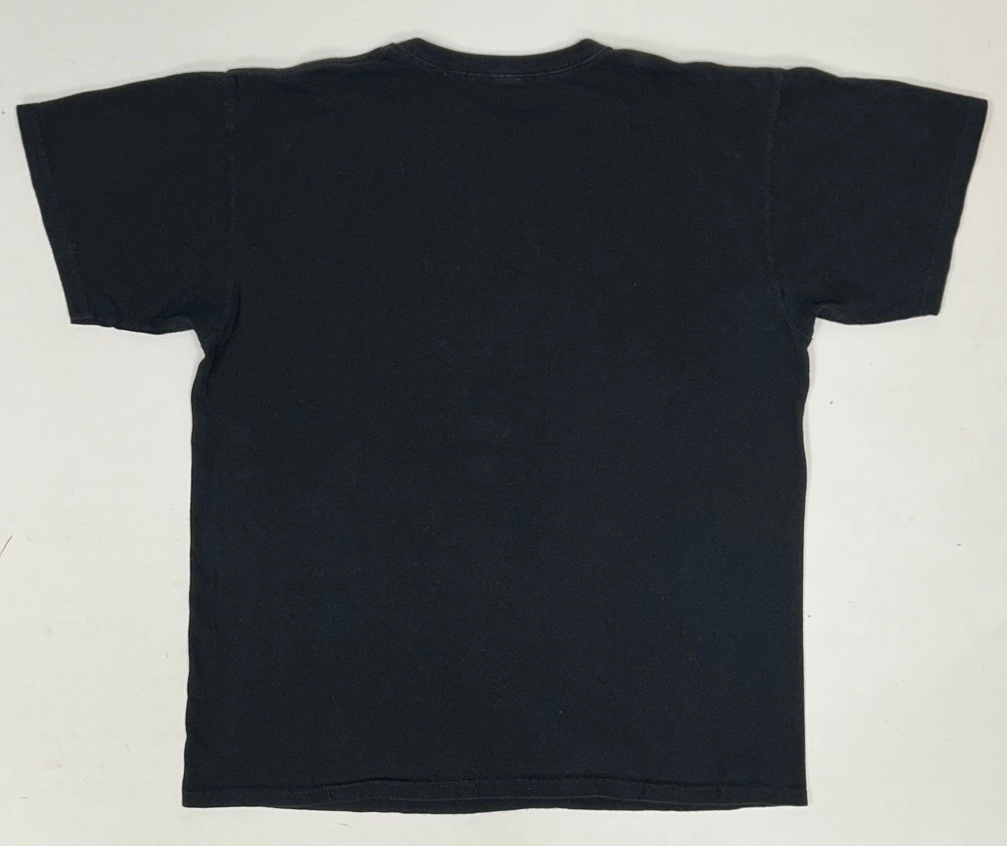 Pink Floyd The Wall Music Band Tee 2010s Print Missing Tag Large 22.5x27.75 Inches