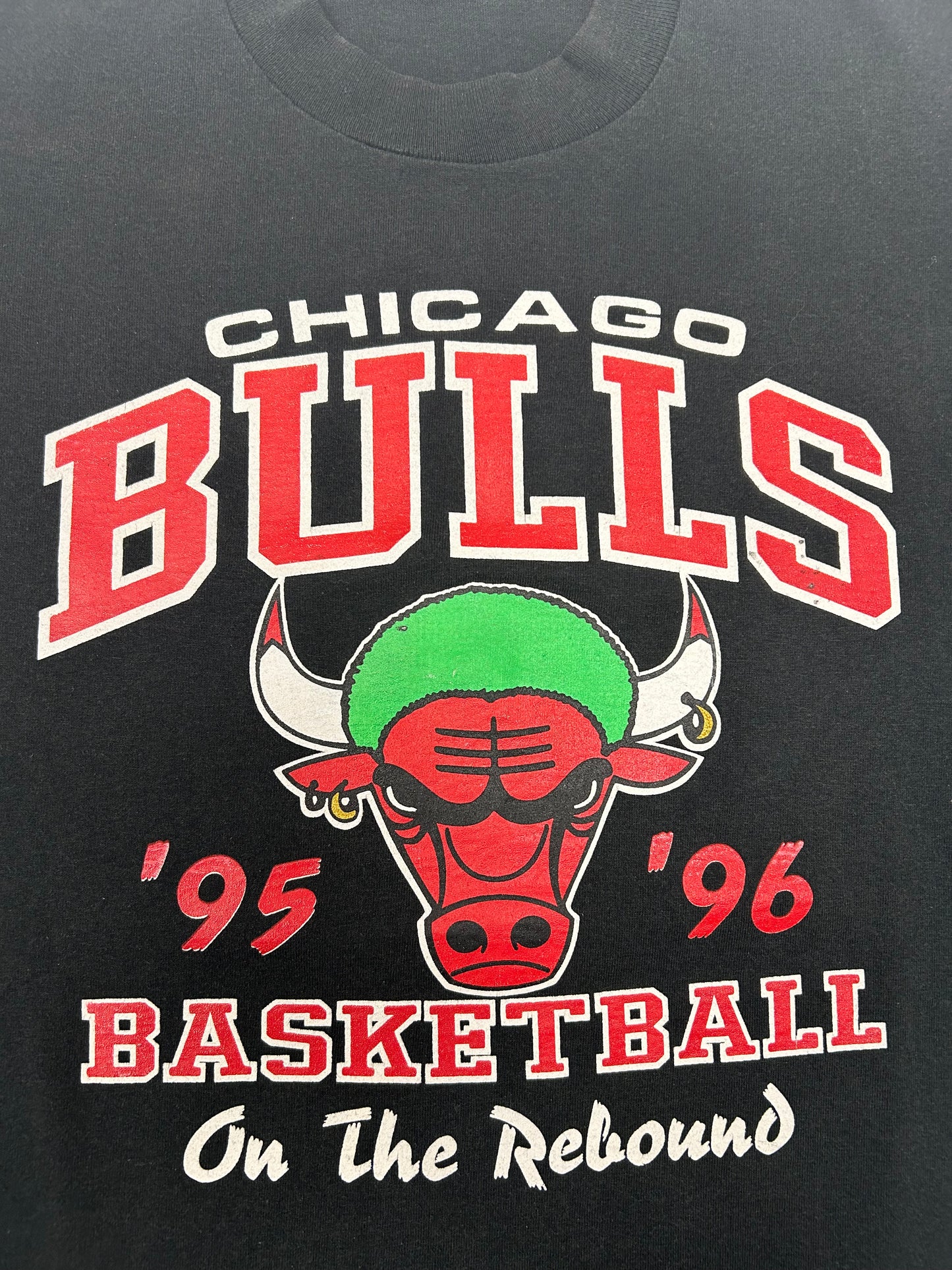 Vintage Chicago Bulls 1995-1996 30 Years And Running Dennis Rodman On The Rebound Tee Large 21.5x28.25 Inches