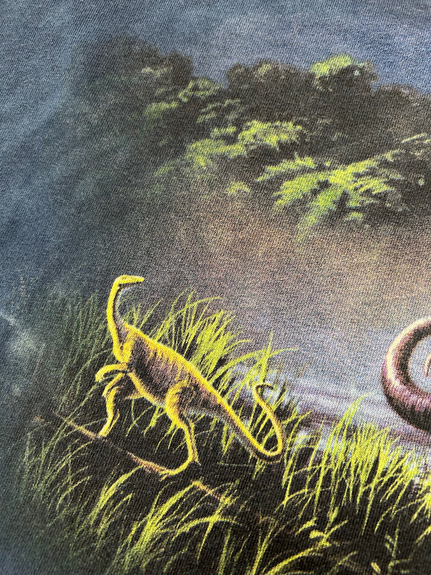 Vintage 2000s Dinosaur Tie-dye Tee XL 25x31 Inches