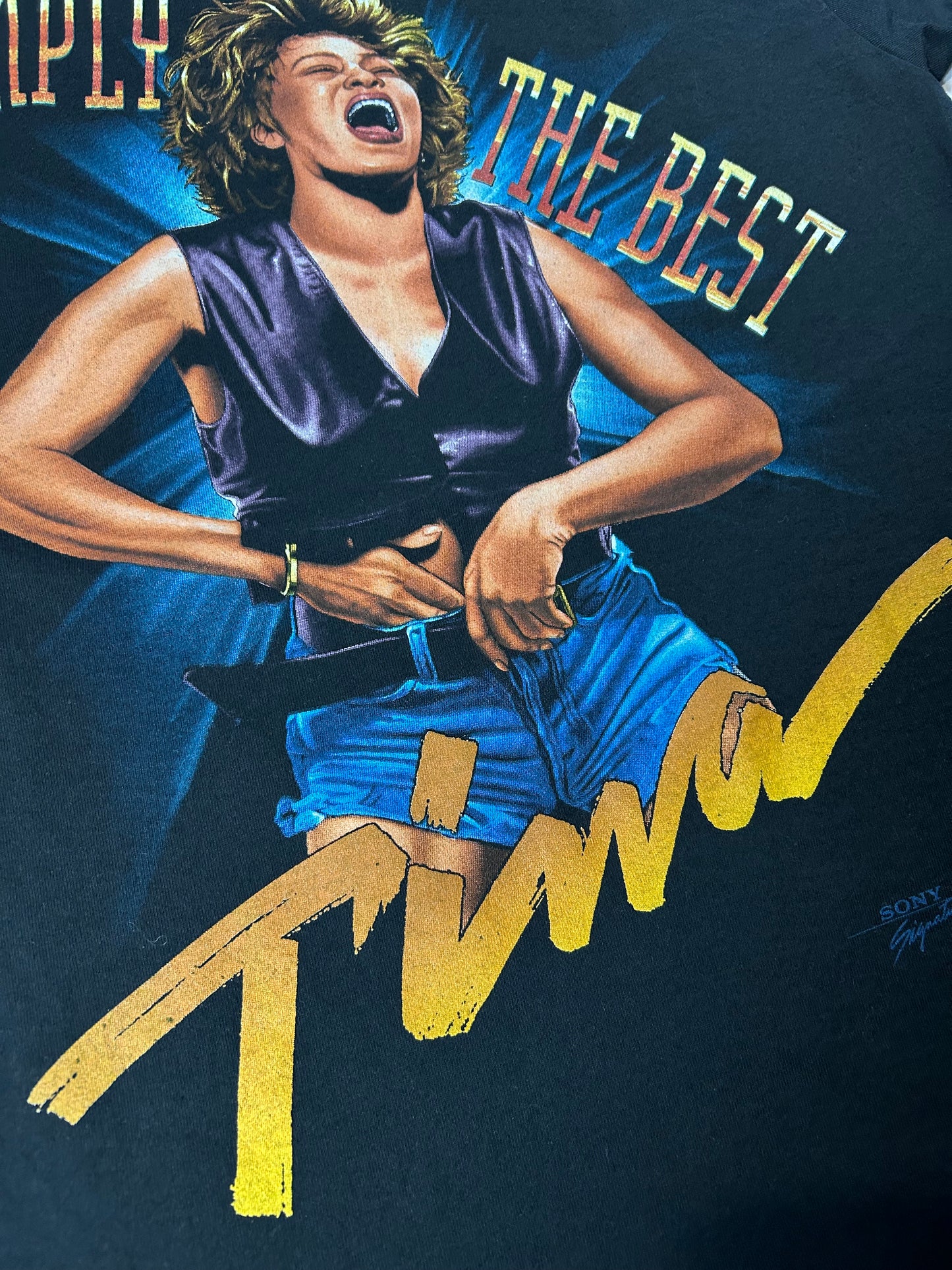 Vintage Tina Turner Simply The Best Sony Signatures Music Tee Large 21.25x31.5 Inches