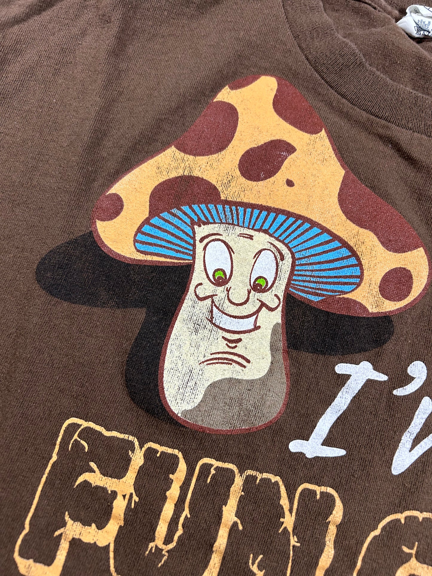 2000s I'm A Fun Guy Graphic Funny Parody Tee Tagged Large Can Fit Medium 21.5x26 Inches Delta Pro Weight Brown Shirt