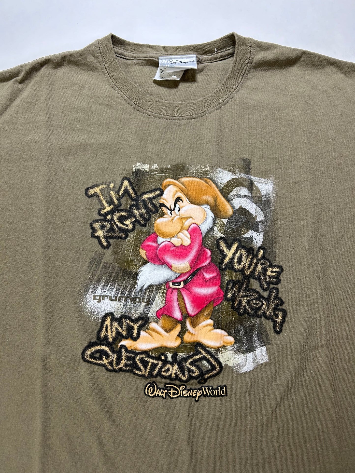 Vintage 00s Walt Disney World Grumpy Dwarf I’m Right You’re Wrong Any Questions Tee XL 23.75x29.25 Inches