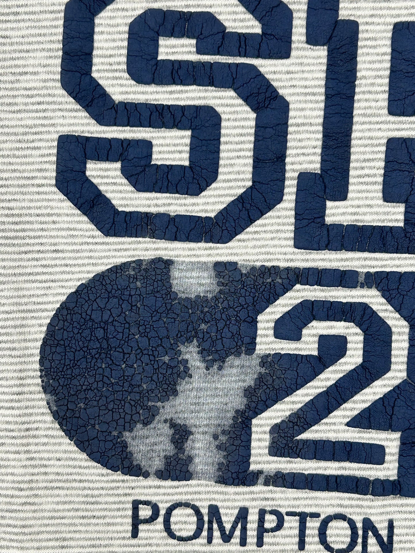 Vintage 90s Spa 23 Pompton Plains, NJ Fitness Center Tee Large 22.25x27.75 Inches