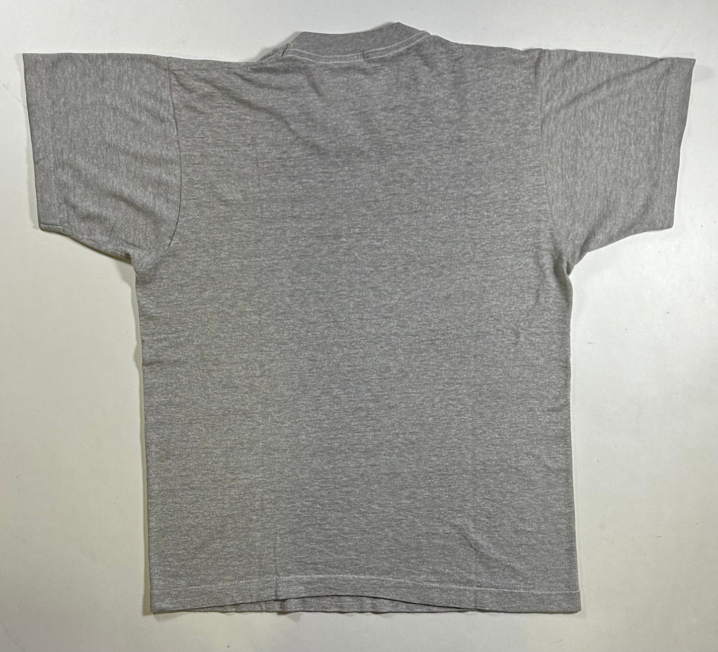 Vintage Seton Hall Pirates Beast Of The East NCAA College Tee Thin M/S 19.25x25 Inches Screen Stars Tag