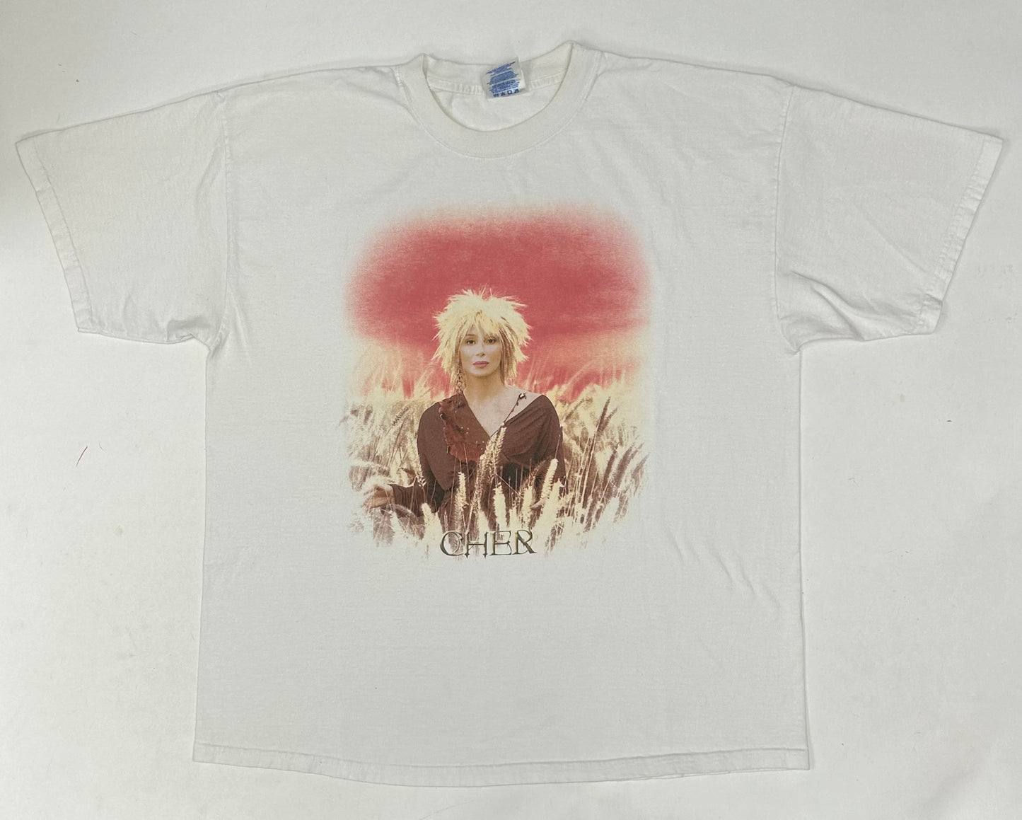 Vintage Cher Living Proof Farewell Tour 2002 Music Shirt Y2K Do You Believe XL 23.5x28.75 Inches