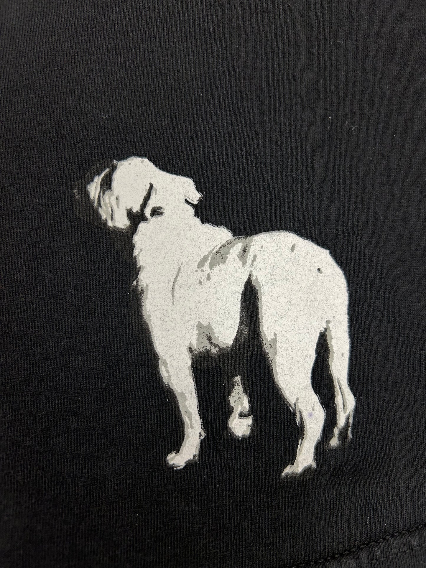 Vintage Rob And Big MTV Show Promo DC Shoes Co Skate Tee Big Black & Rob Dyrdek XL 23.5x30.25 Inches