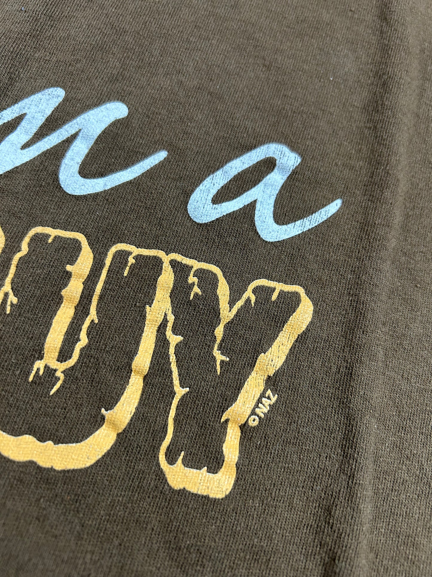 2000s I'm A Fun Guy Graphic Funny Parody Tee Tagged Large Can Fit Medium 21.5x26 Inches Delta Pro Weight Brown Shirt